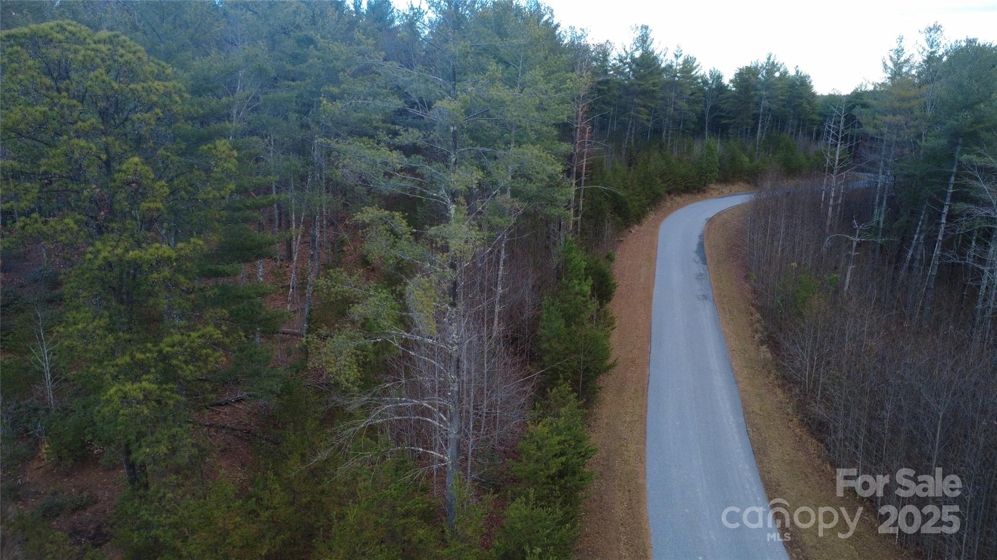 Lot at 597 Peninsula Reserve Road, Nebo, photo 21 of 24