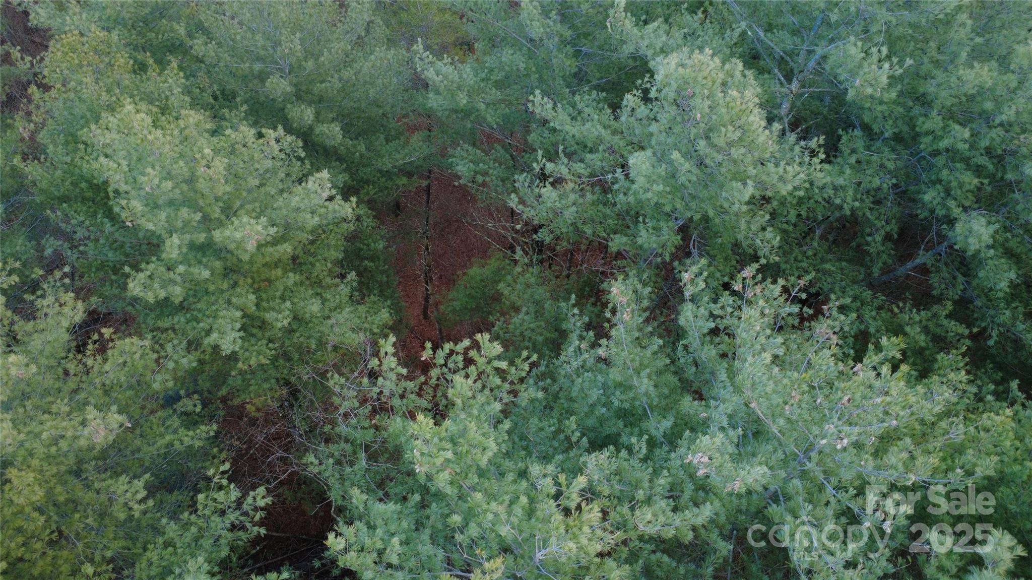 Lot at 597 Peninsula Reserve Road, Nebo, photo 24 of 24
