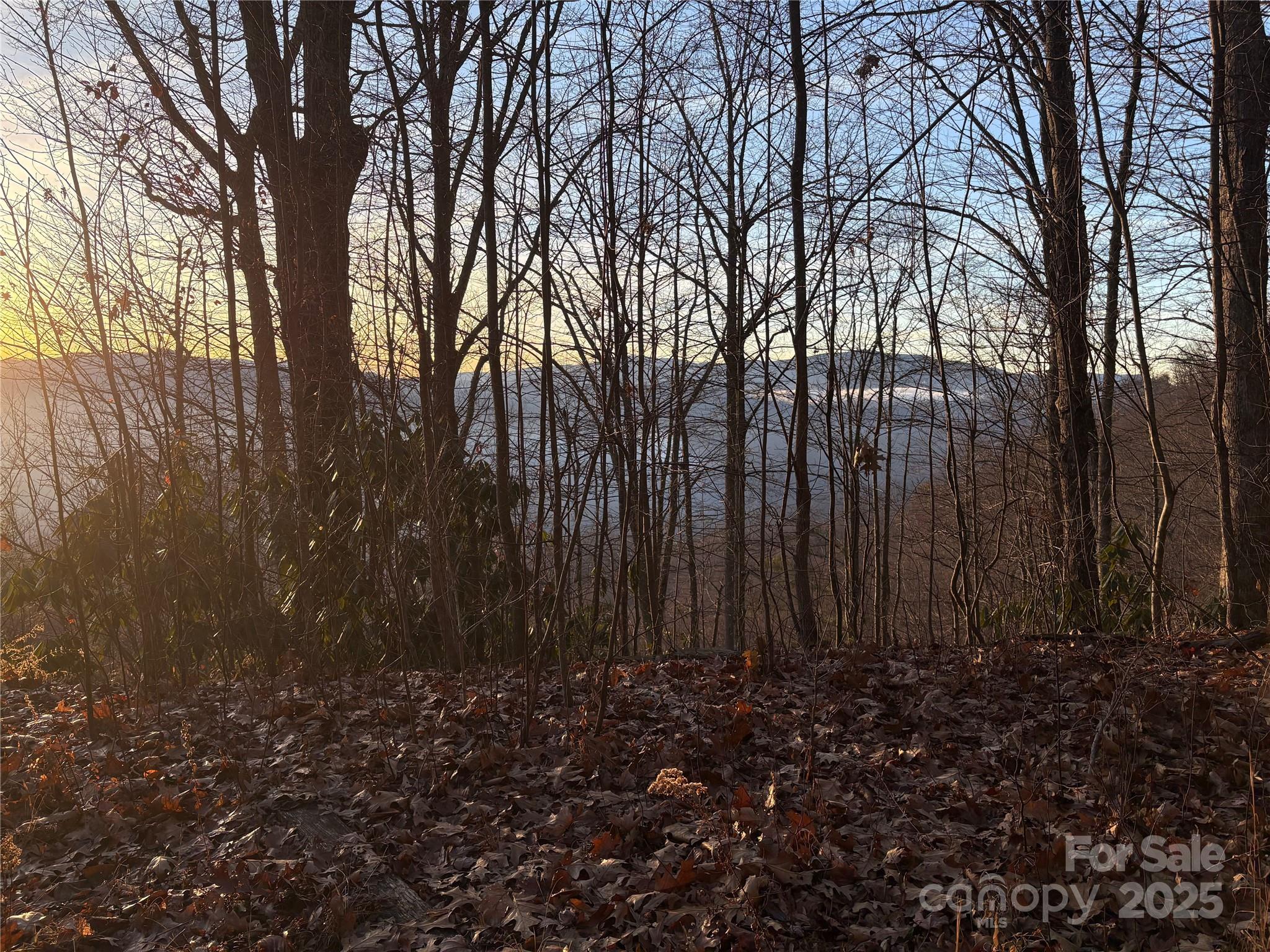 Lot at 899 Hyacinth Drive, Clyde, photo 5 of 29