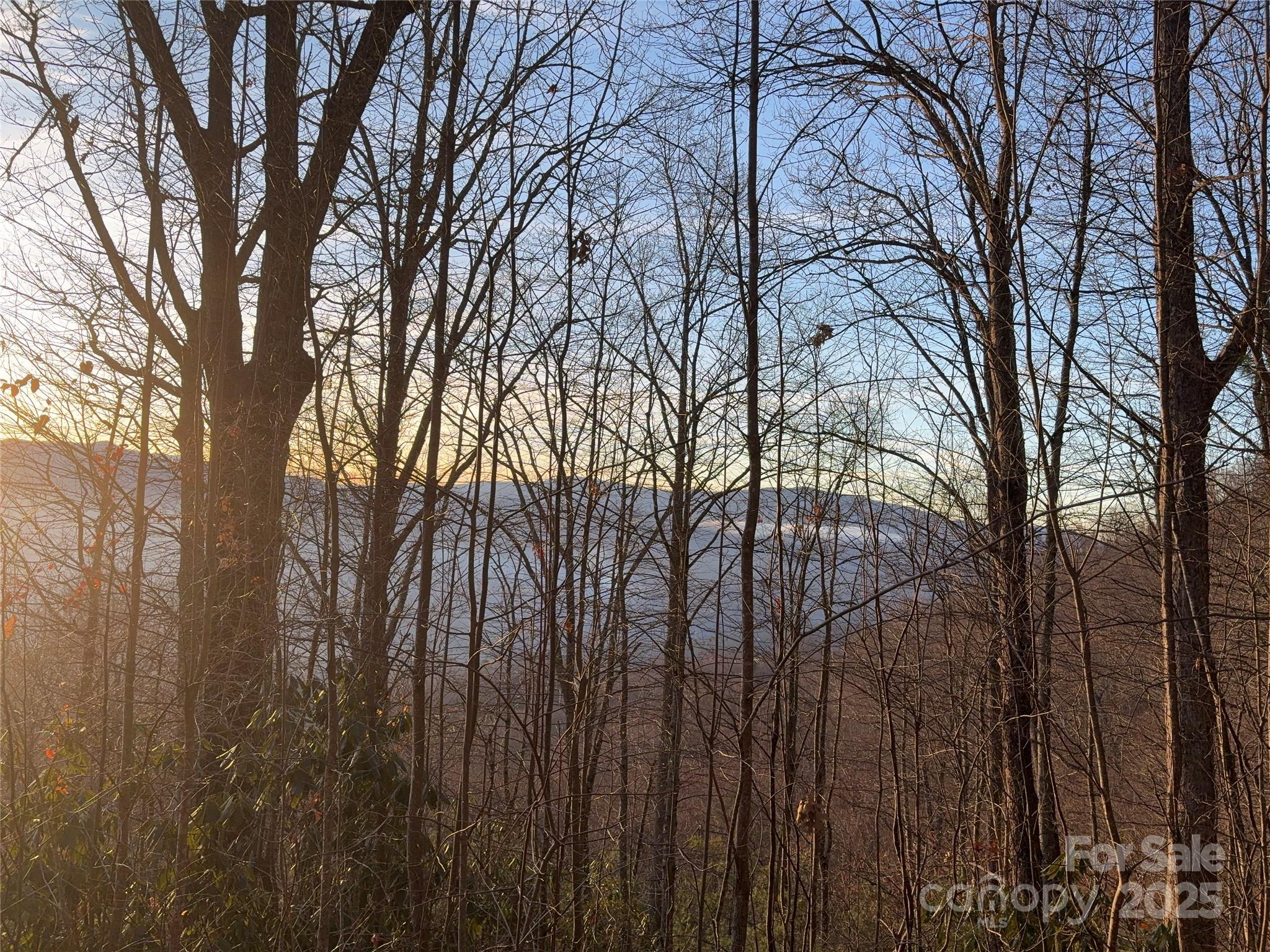 Lot at 899 Hyacinth Drive, Clyde, photo 6 of 29
