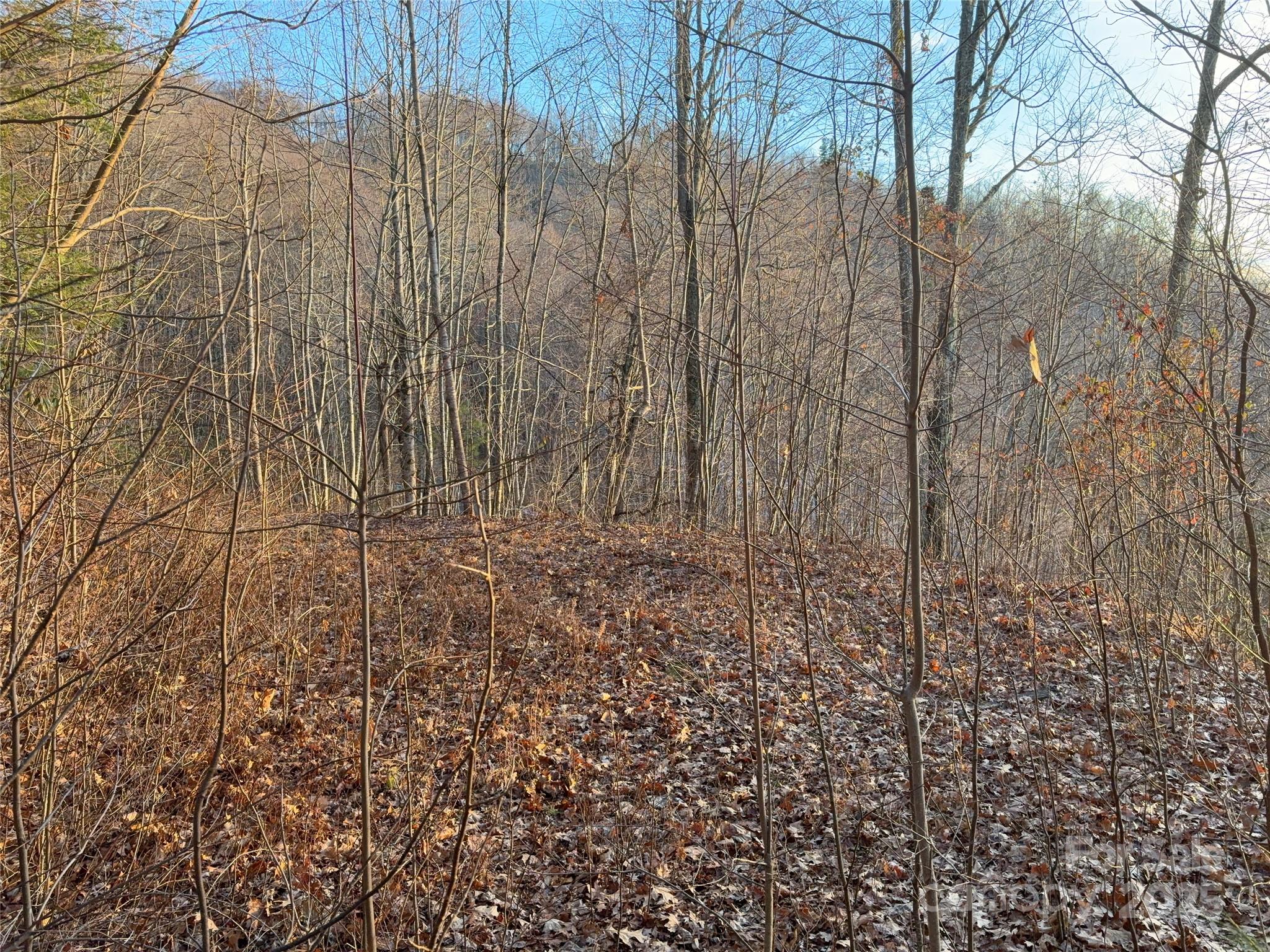 Lot at 899 Hyacinth Drive, Clyde, photo 8 of 29
