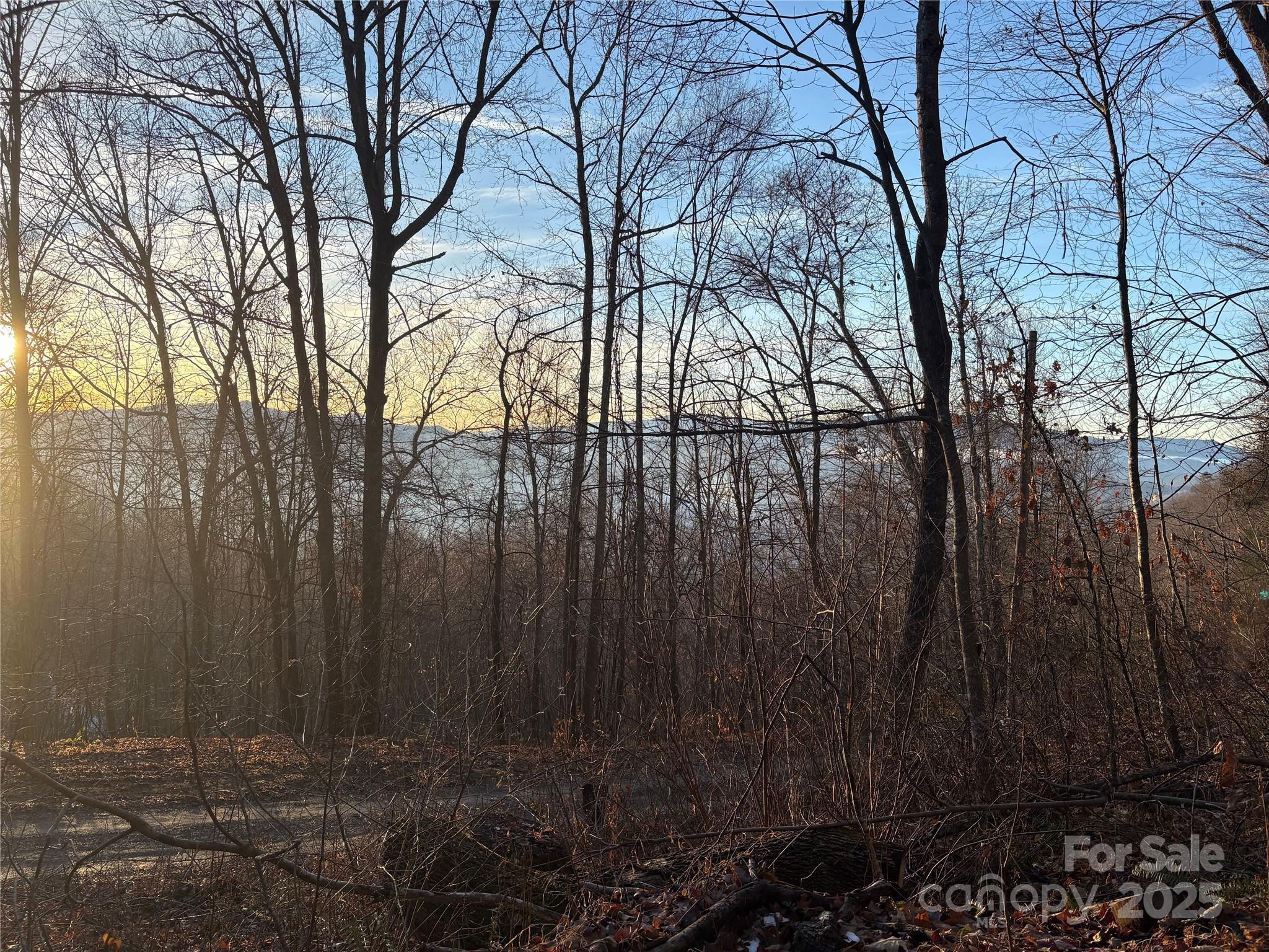 Lot at 899 Hyacinth Drive, Clyde, photo 10 of 29