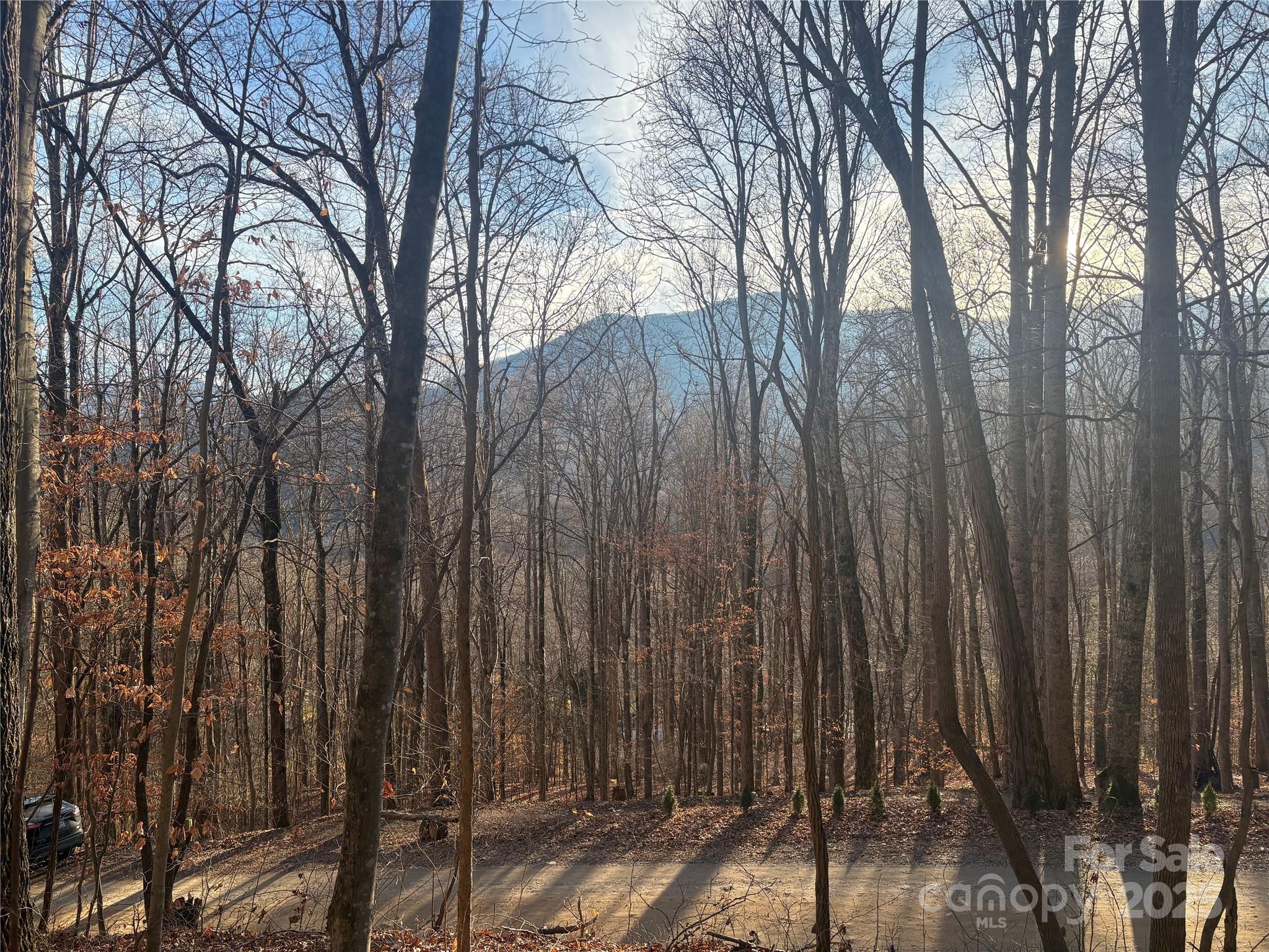Lot at 899 Hyacinth Drive, Clyde, photo 12 of 29