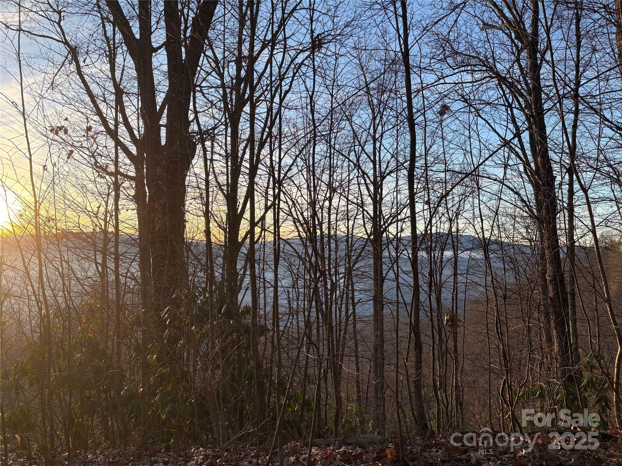 Lot at 899 Hyacinth Drive, Clyde, photo 13 of 29