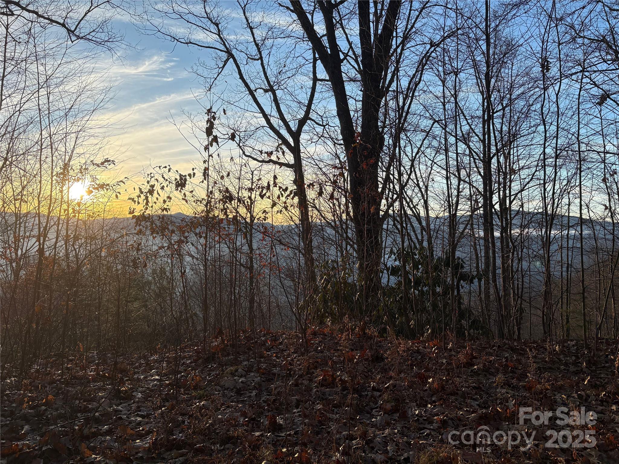 Lot at 899 Hyacinth Drive, Clyde, photo 15 of 29