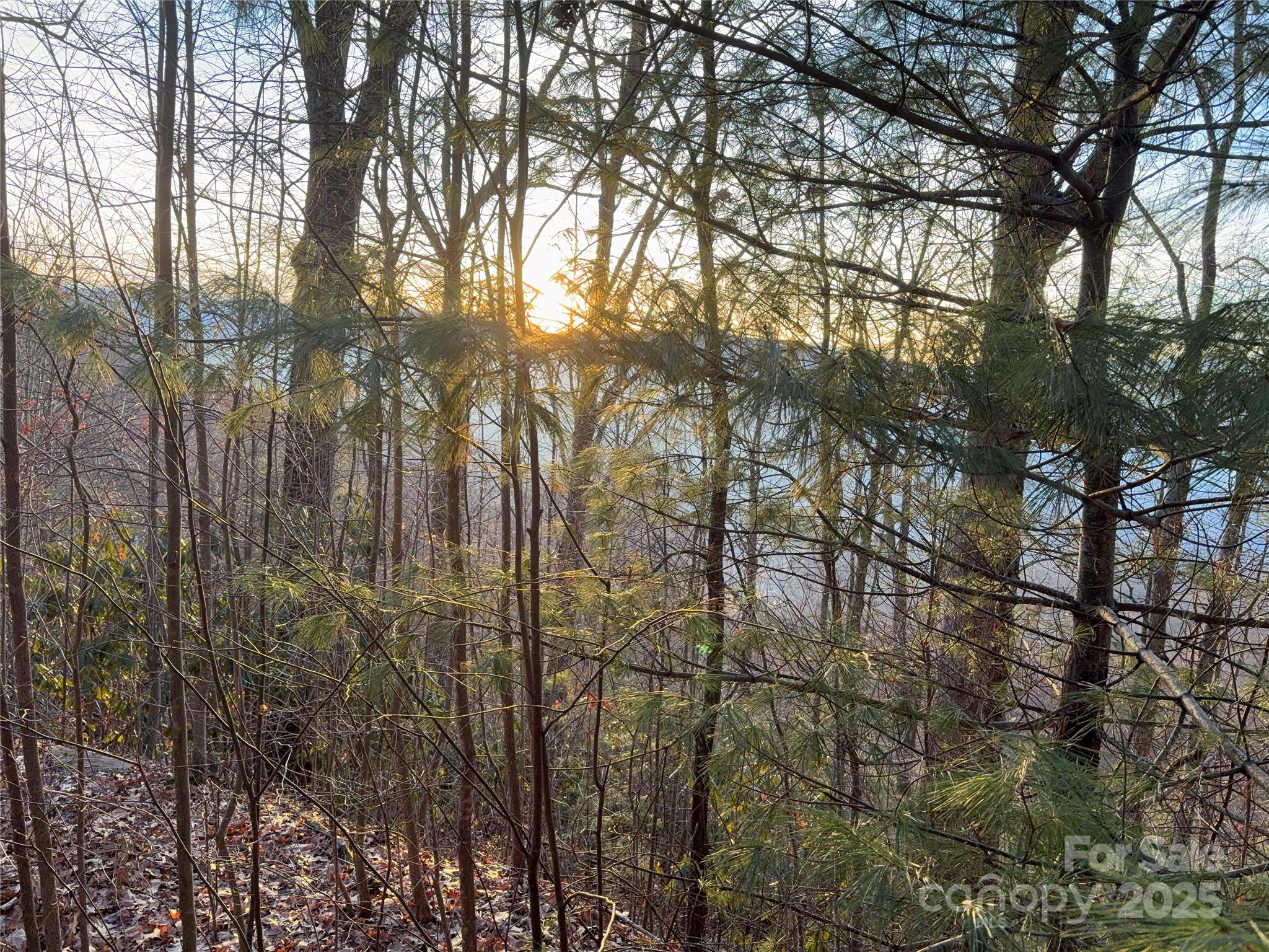 Lot at 899 Hyacinth Drive, Clyde, photo 19 of 29