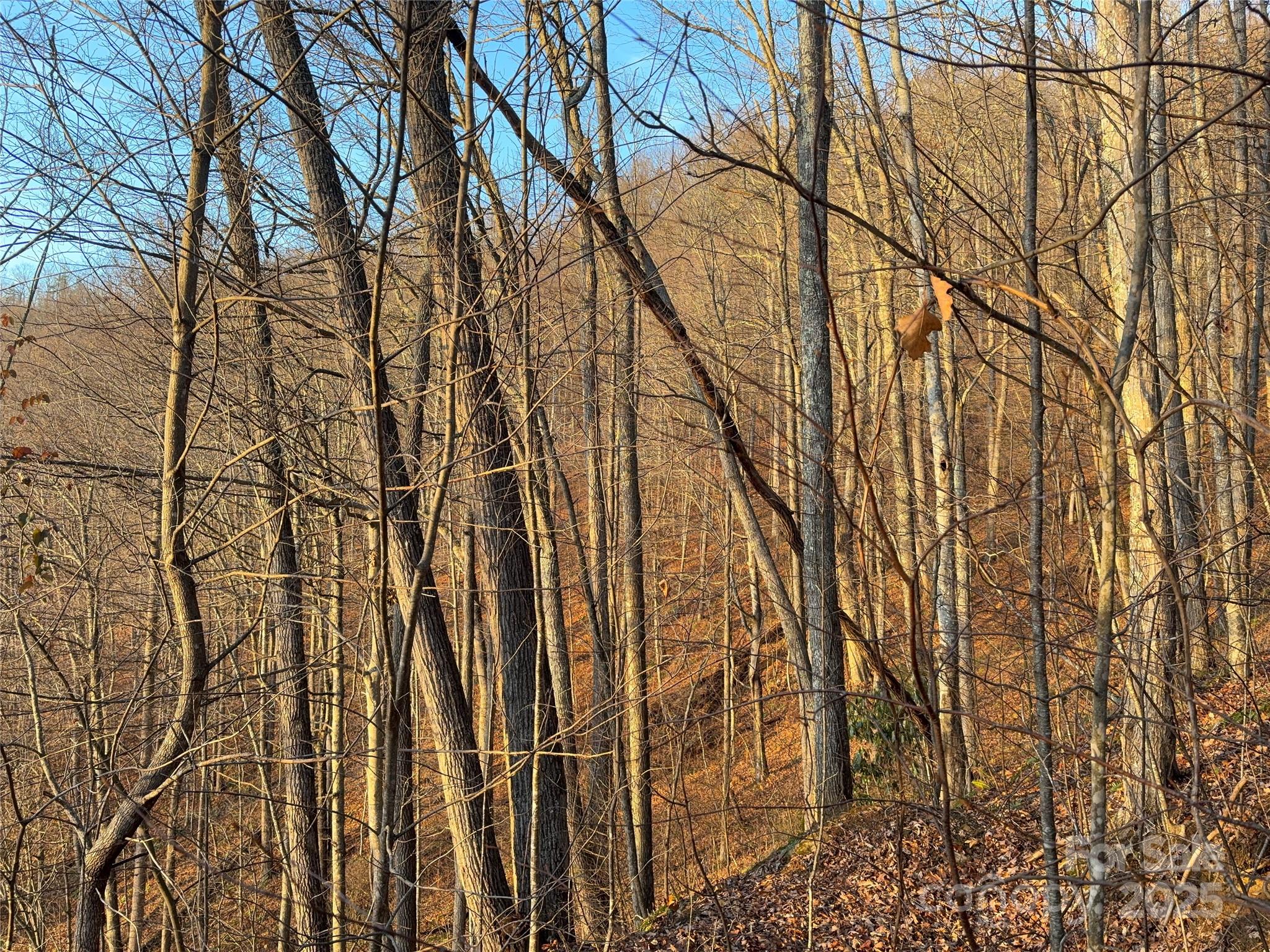Lot at 899 Hyacinth Drive, Clyde, photo 20 of 29
