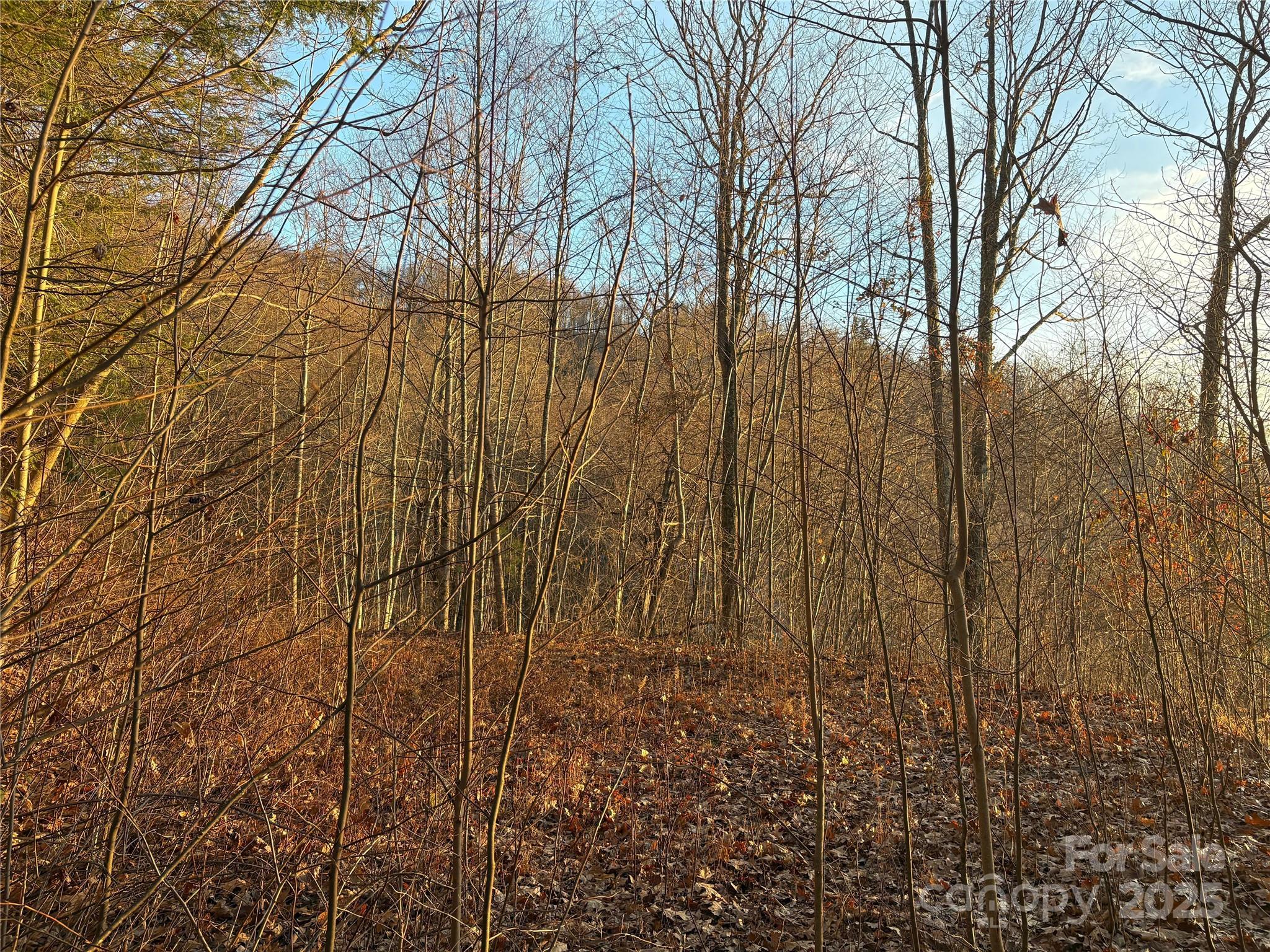 Lot at 899 Hyacinth Drive, Clyde, photo 22 of 29