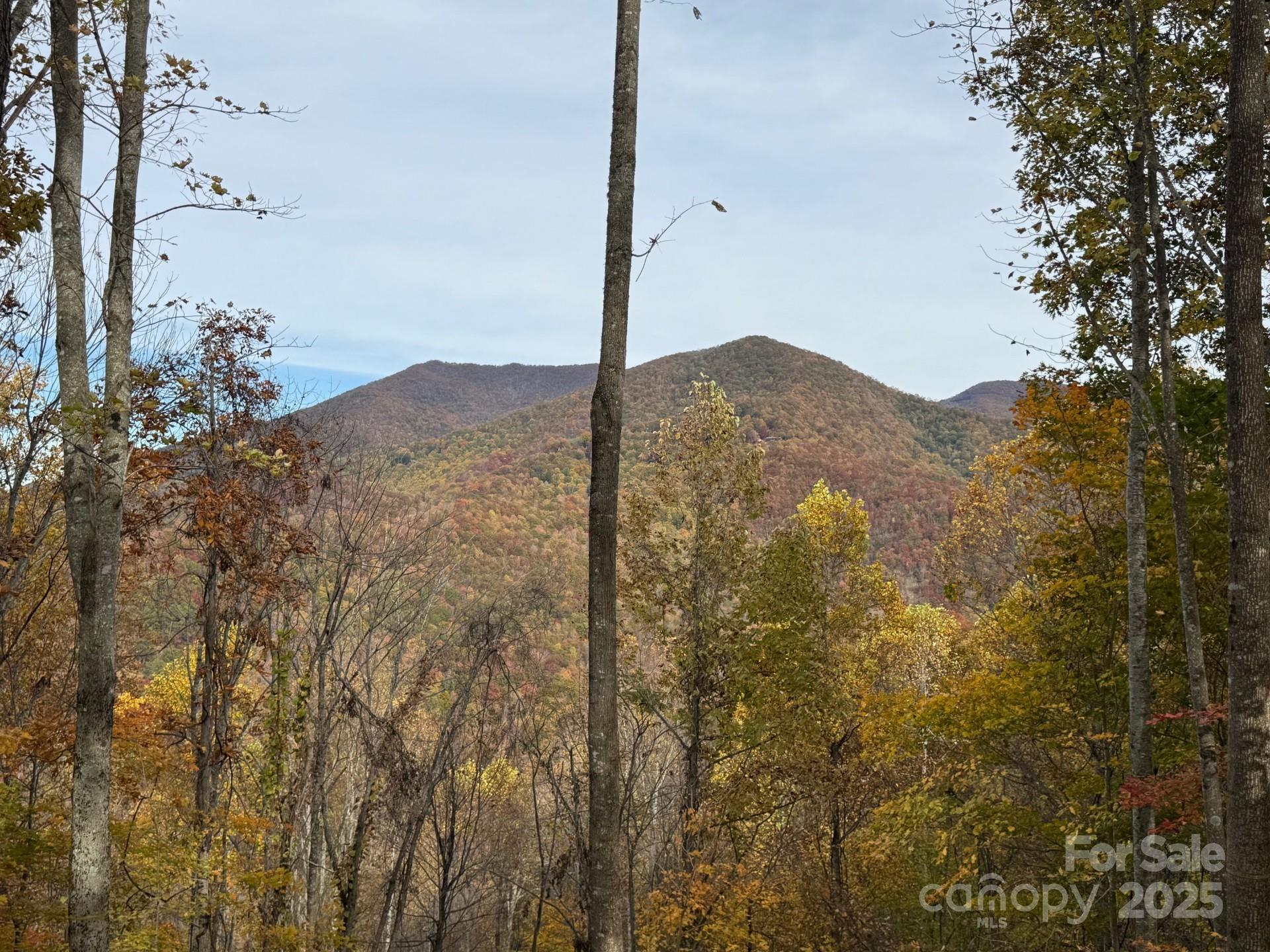 Lot at 223 Flying Dutchman Road, Sylva, photo 2 of 11