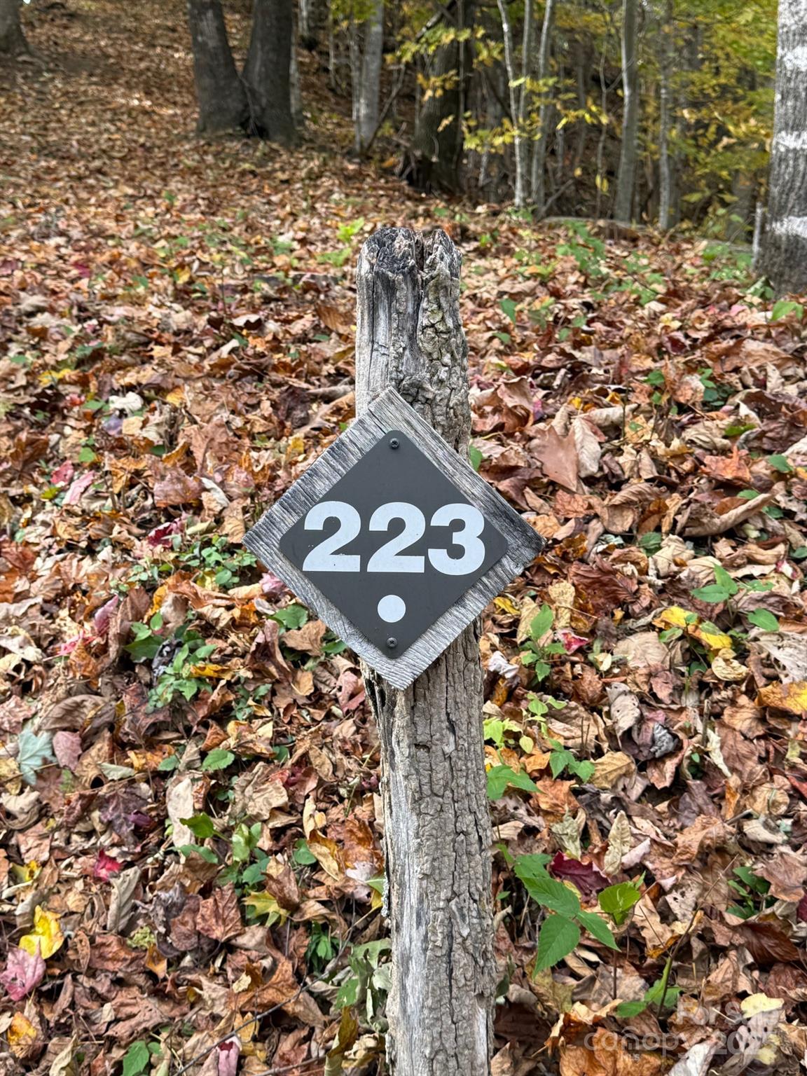 Lot at 223 Flying Dutchman Road, Sylva, photo 3 of 11