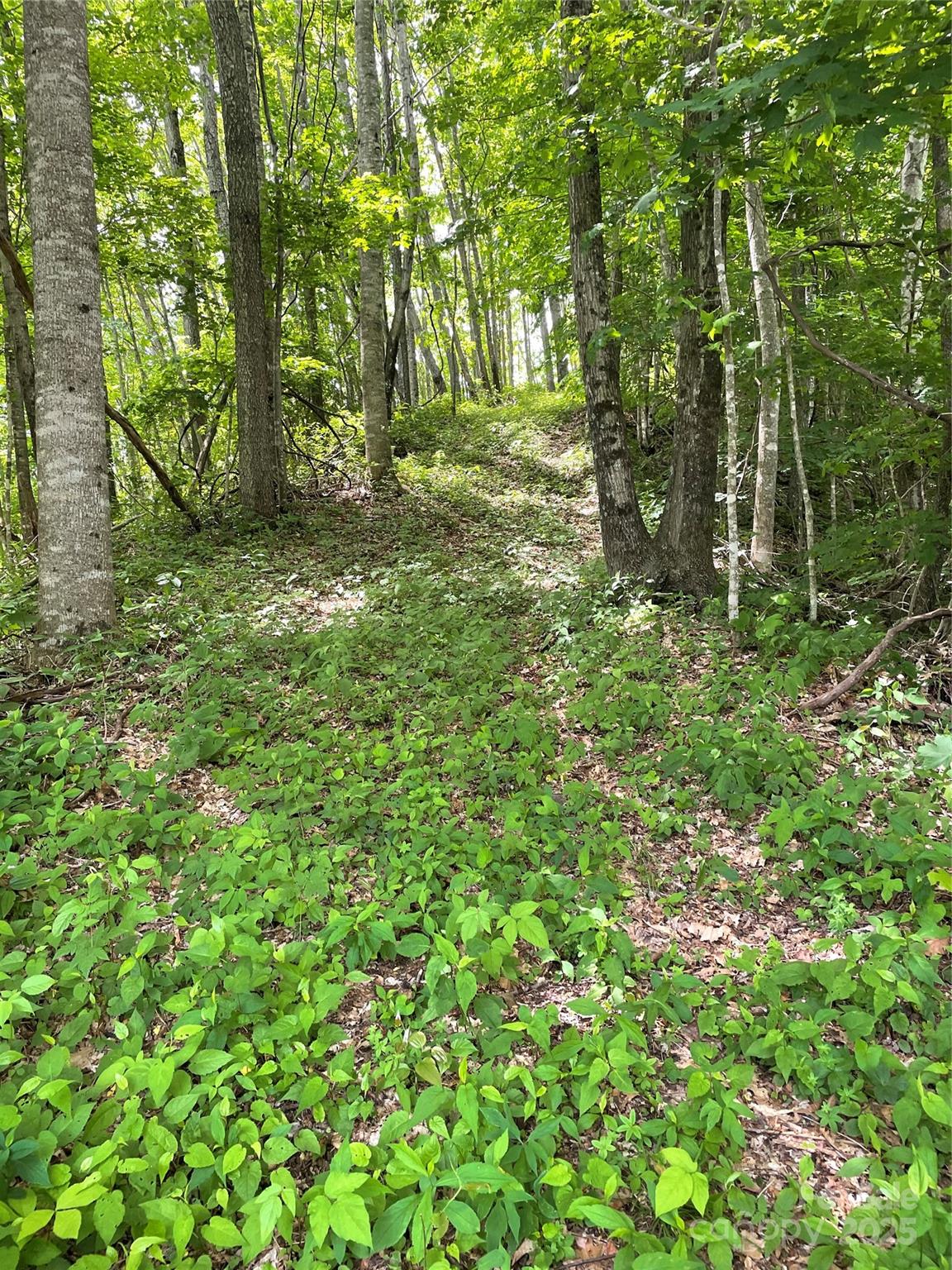 Lot at 223 Flying Dutchman Road, Sylva, photo 6 of 11