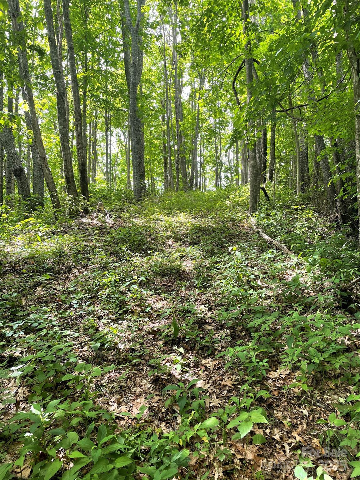 Lot at 223 Flying Dutchman Road, Sylva, photo 7 of 11