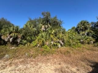 LOT 4 MATTOX CIR