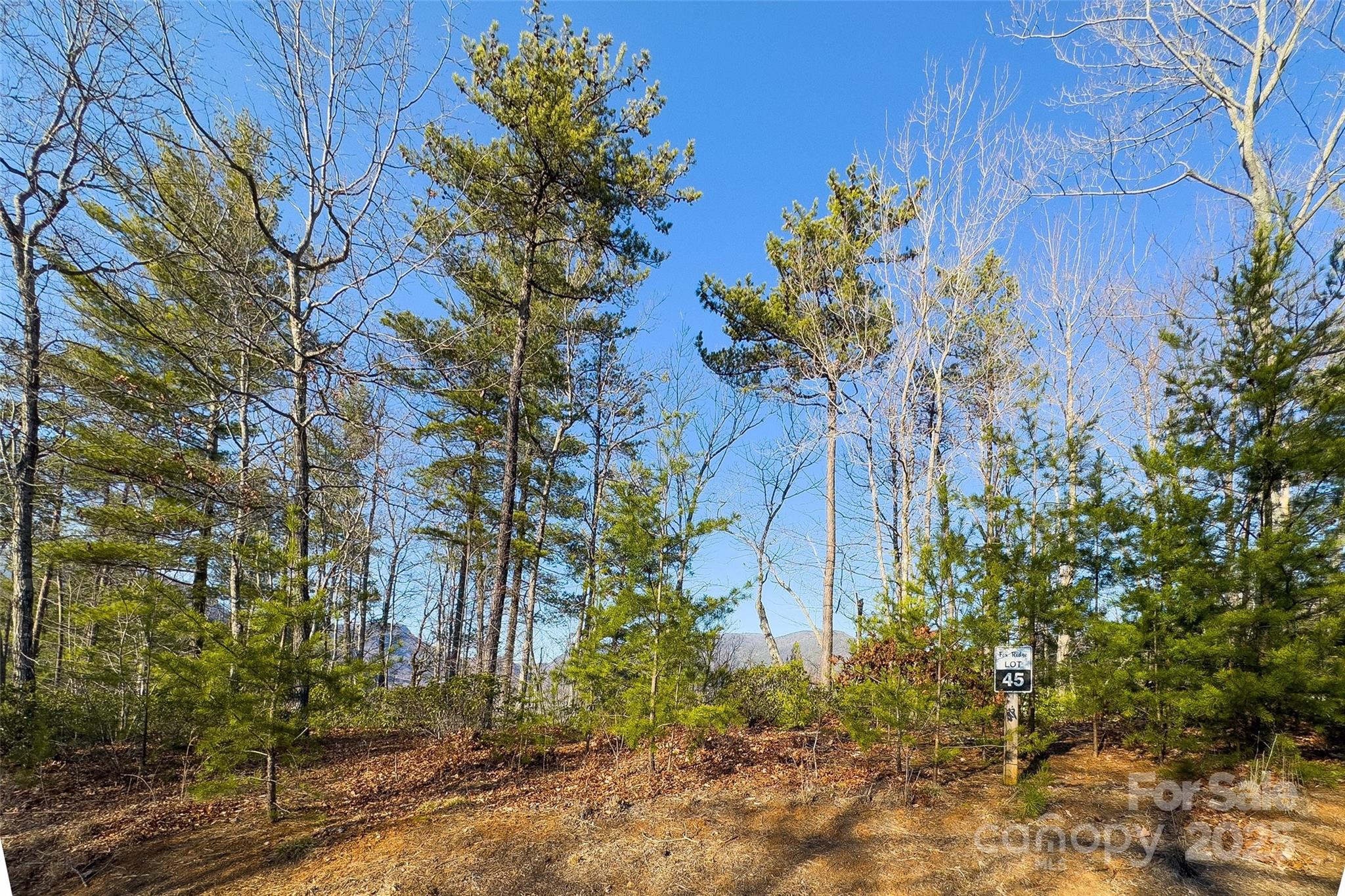 Lot #45 Fox Ridge Trail