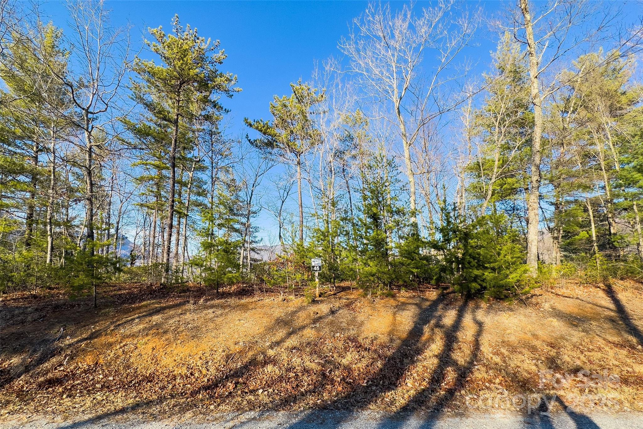 Northern view take from middle of road. - Lot #45 Fox Ridge Trail, Marion