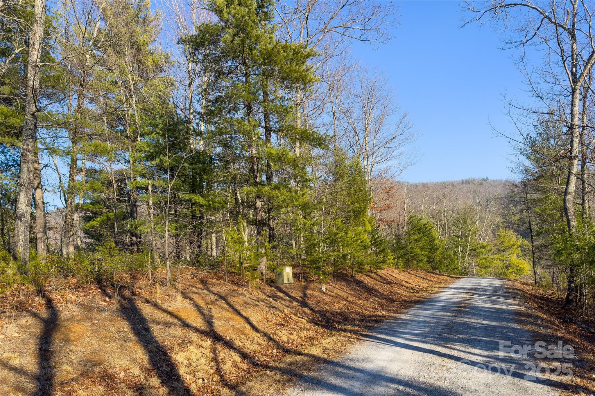 A second view of eastern property line, as you look to the east. There is approximately 110 feet of road frontage. - Lot #45 Fox Ridge Trail, Marion