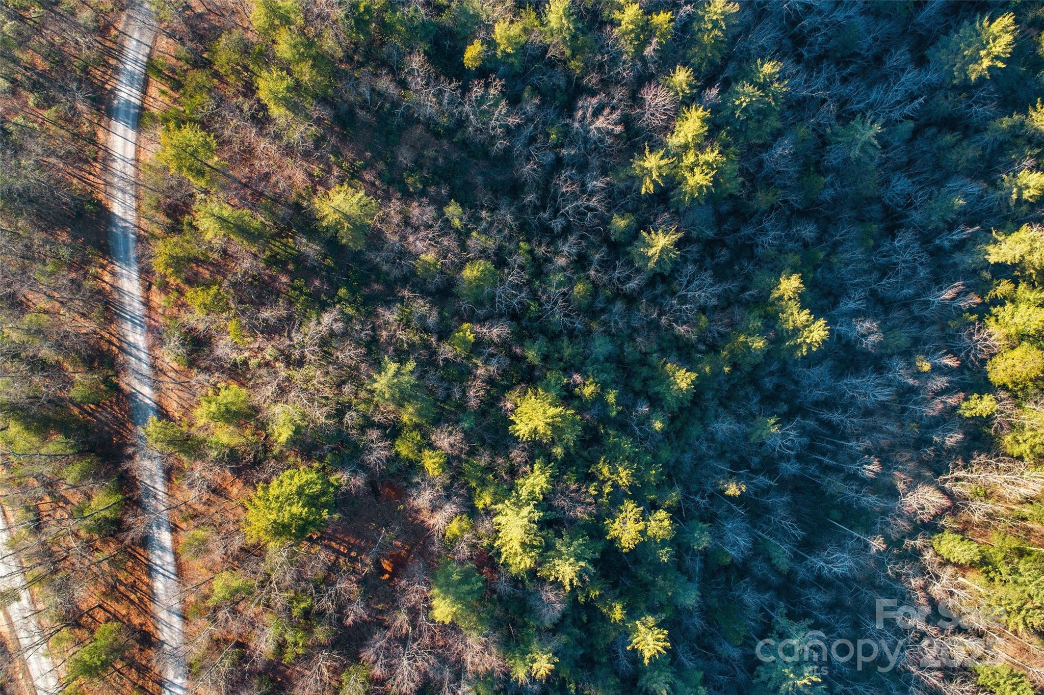 High above the lot, looking straight down on it. - Lot #45 Fox Ridge Trail, Marion