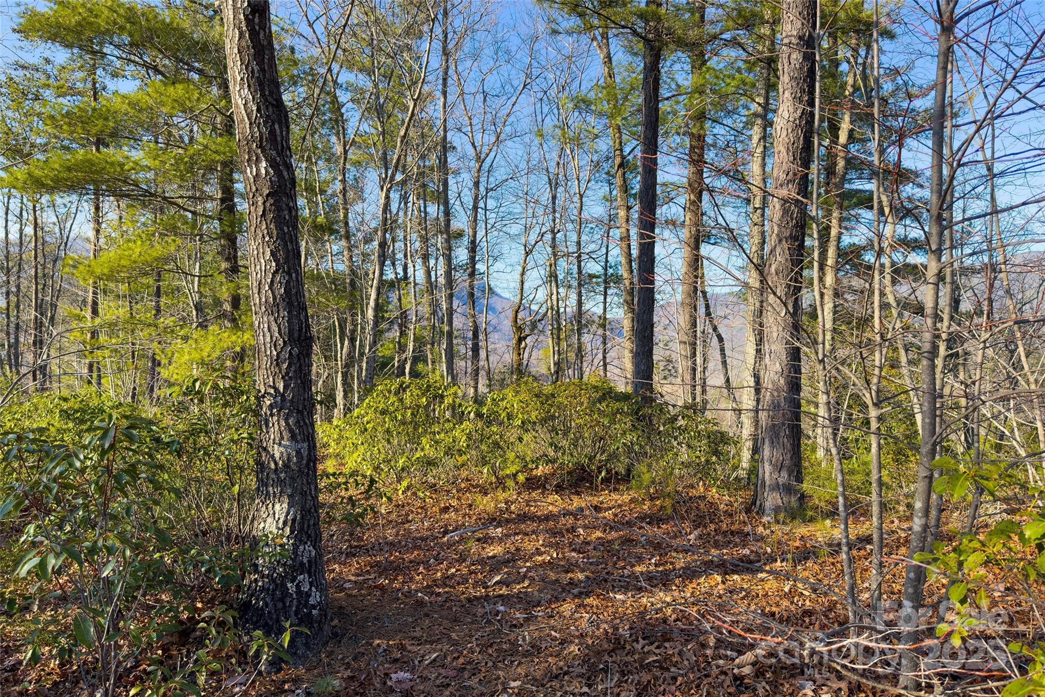 Possible building site on the lot. - Lot #45 Fox Ridge Trail, Marion