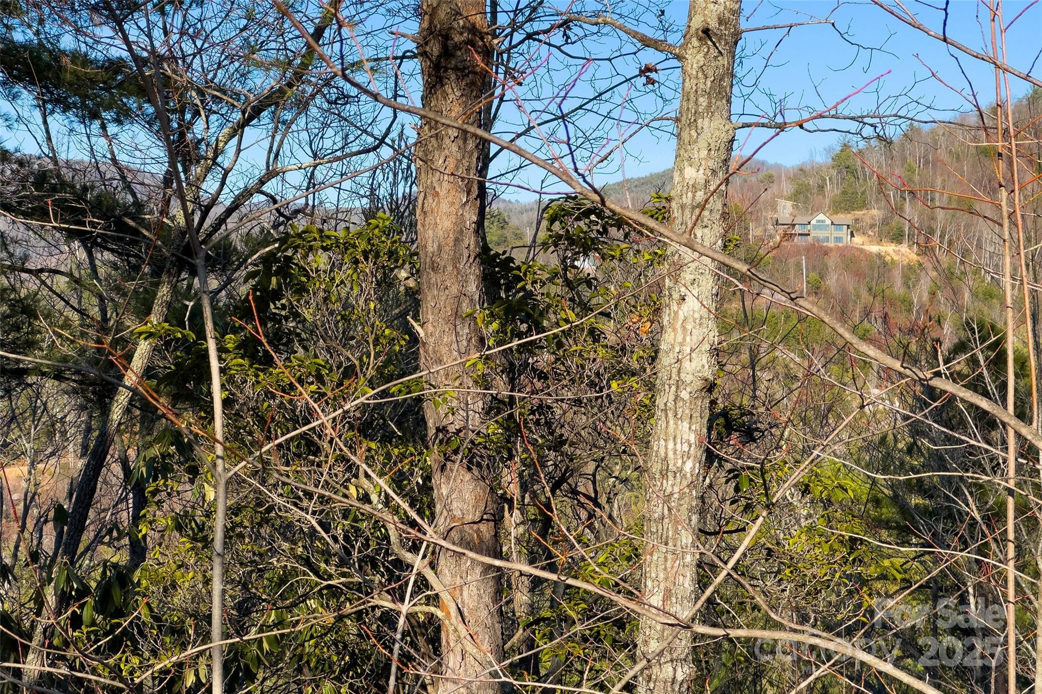 Lot at Lot #45 Fox Ridge Trail, Marion, photo 18 of 29
