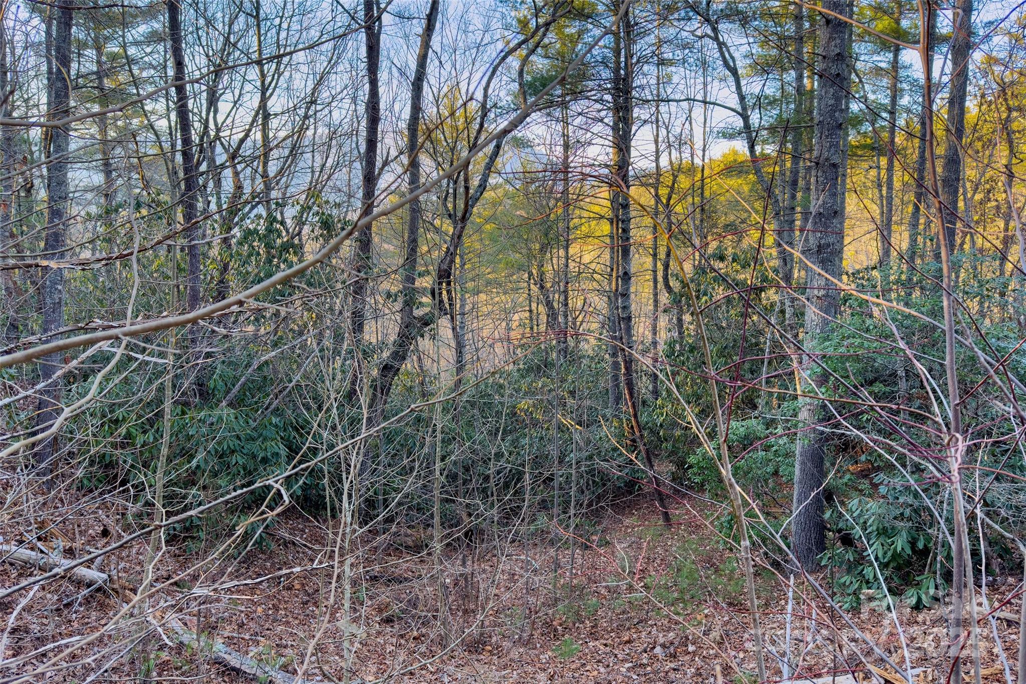 Lot at LOT #84 Little Fox Run, Marion, photo 17 of 24