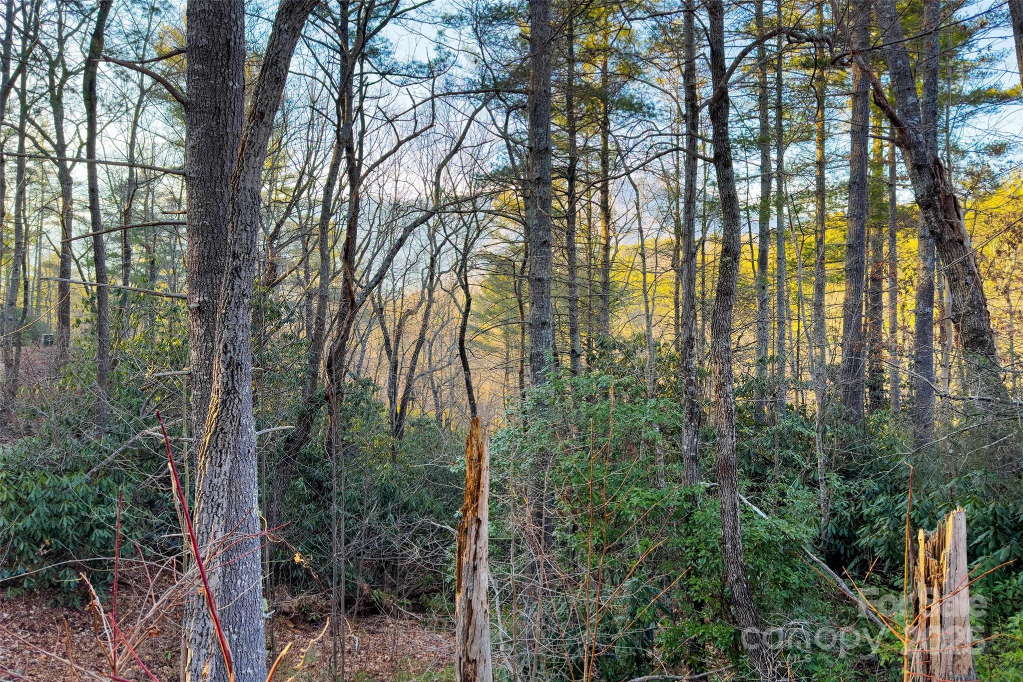 Lot at LOT #84 Little Fox Run, Marion, photo 18 of 24