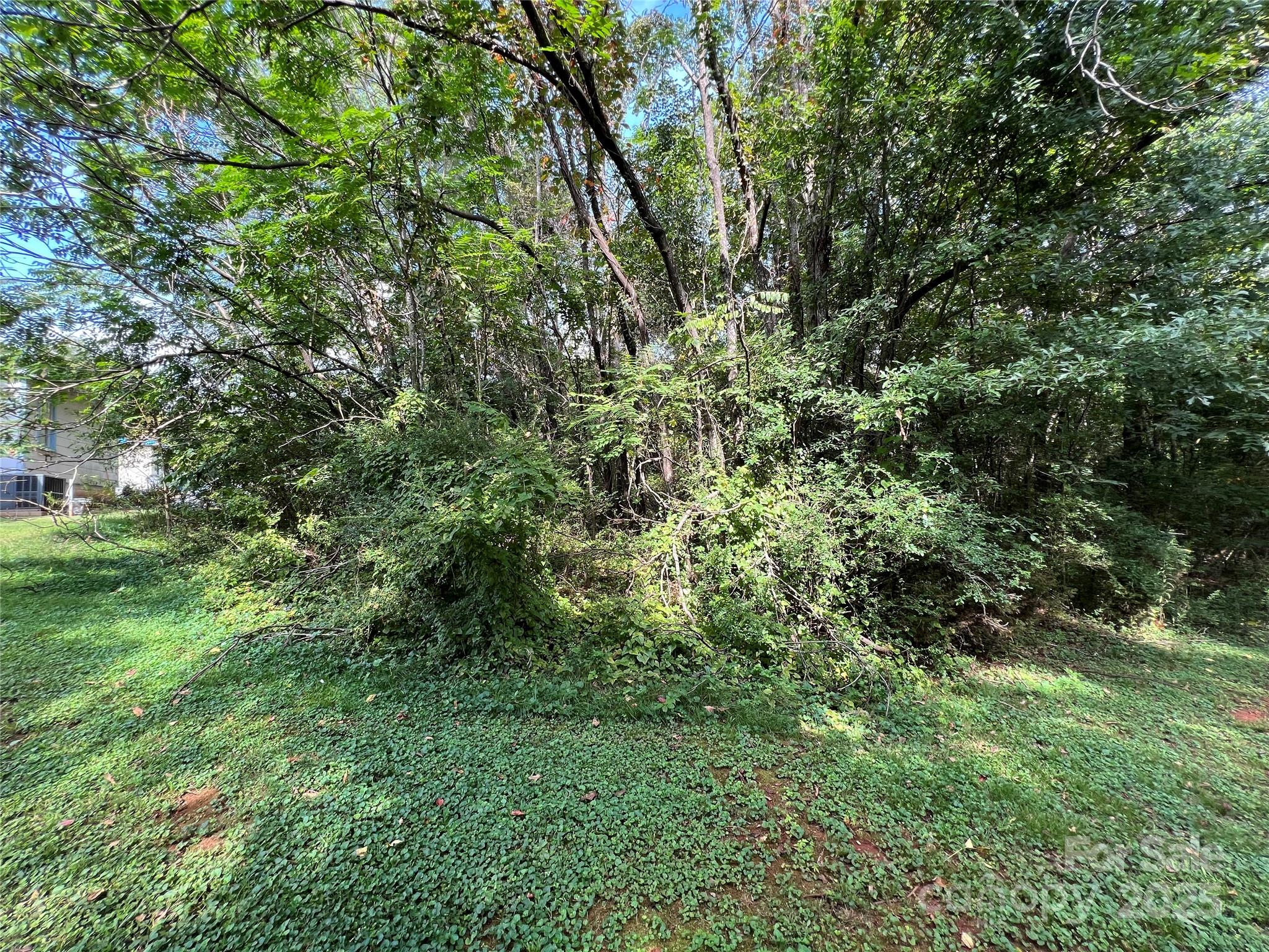 Unimproved Commercial at 144 St Helena Drive, Rutherfordton, photo 3 of 13
