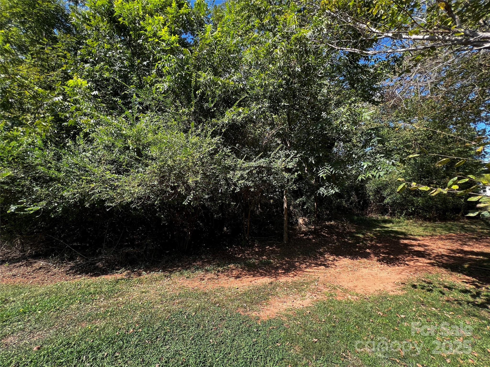 Unimproved Commercial at 144 St Helena Drive, Rutherfordton, photo 4 of 13