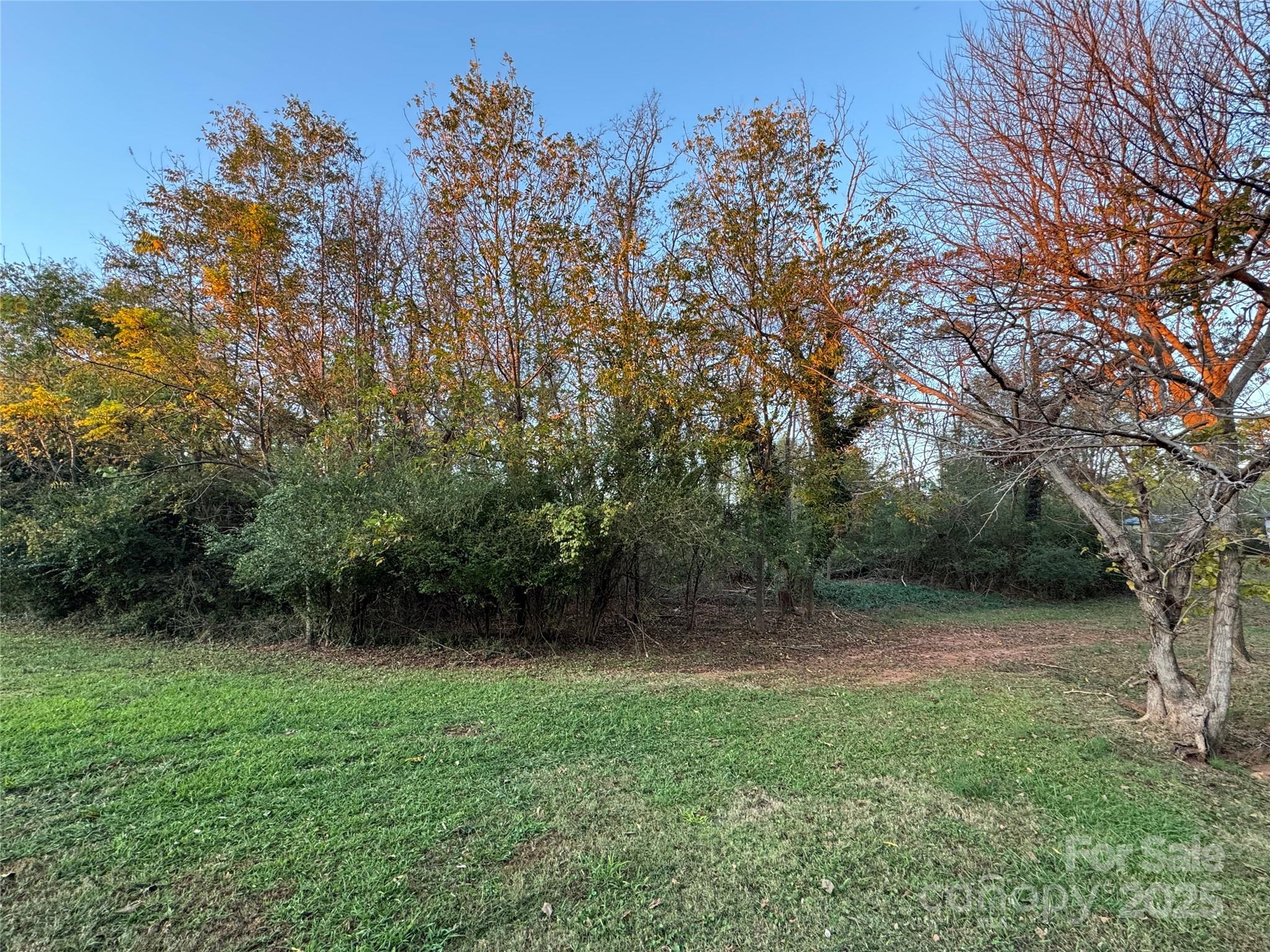 Unimproved Commercial at 144 St Helena Drive, Rutherfordton, photo 9 of 13
