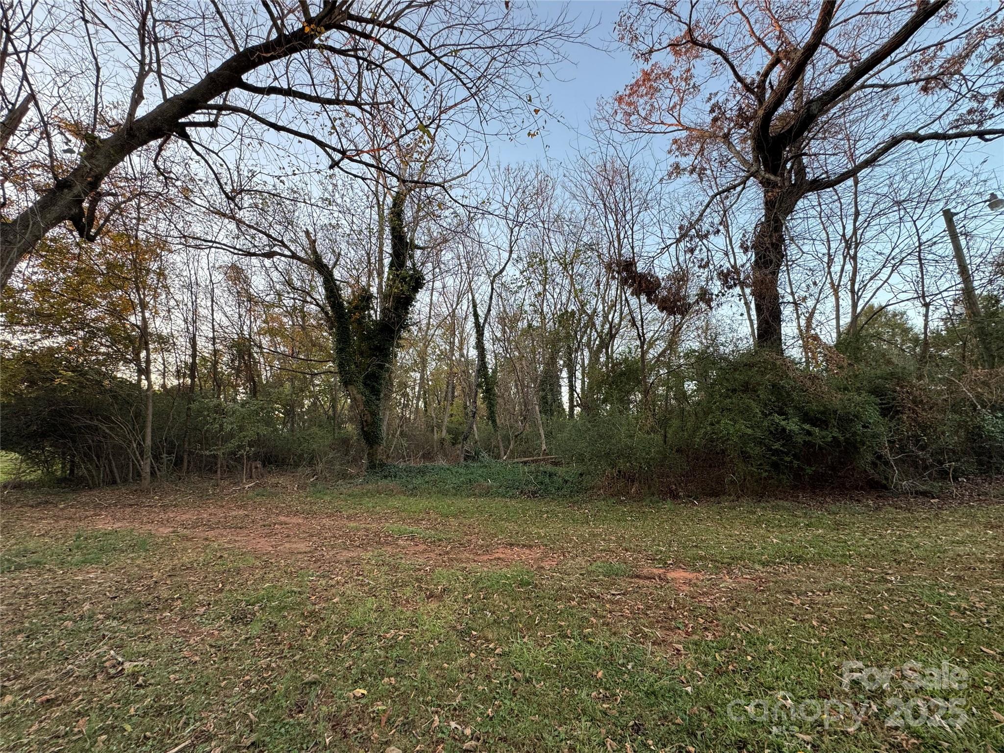 Unimproved Commercial at 144 St Helena Drive, Rutherfordton, photo 11 of 13