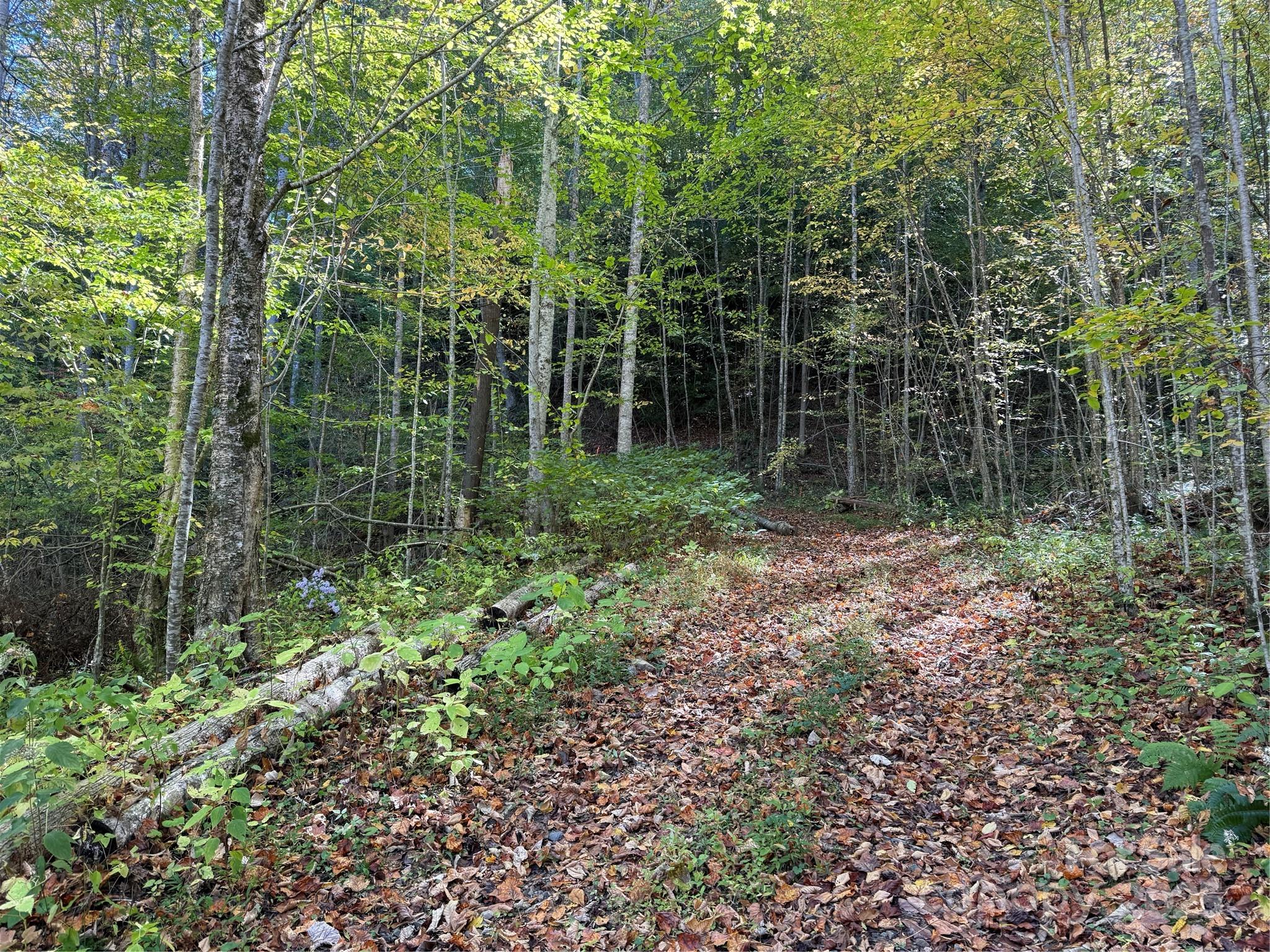 Acreage at 000 Hamburg Road, Mars Hill, photo 17 of 32