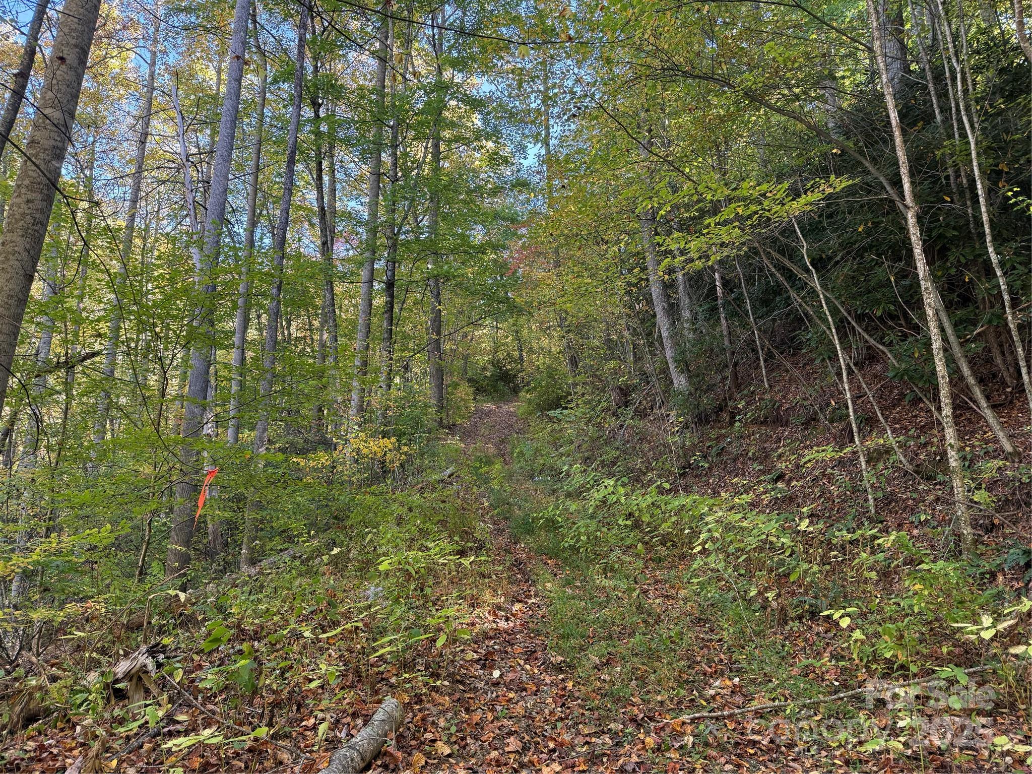 Acreage at 000 Hamburg Road, Mars Hill, photo 17 of 28