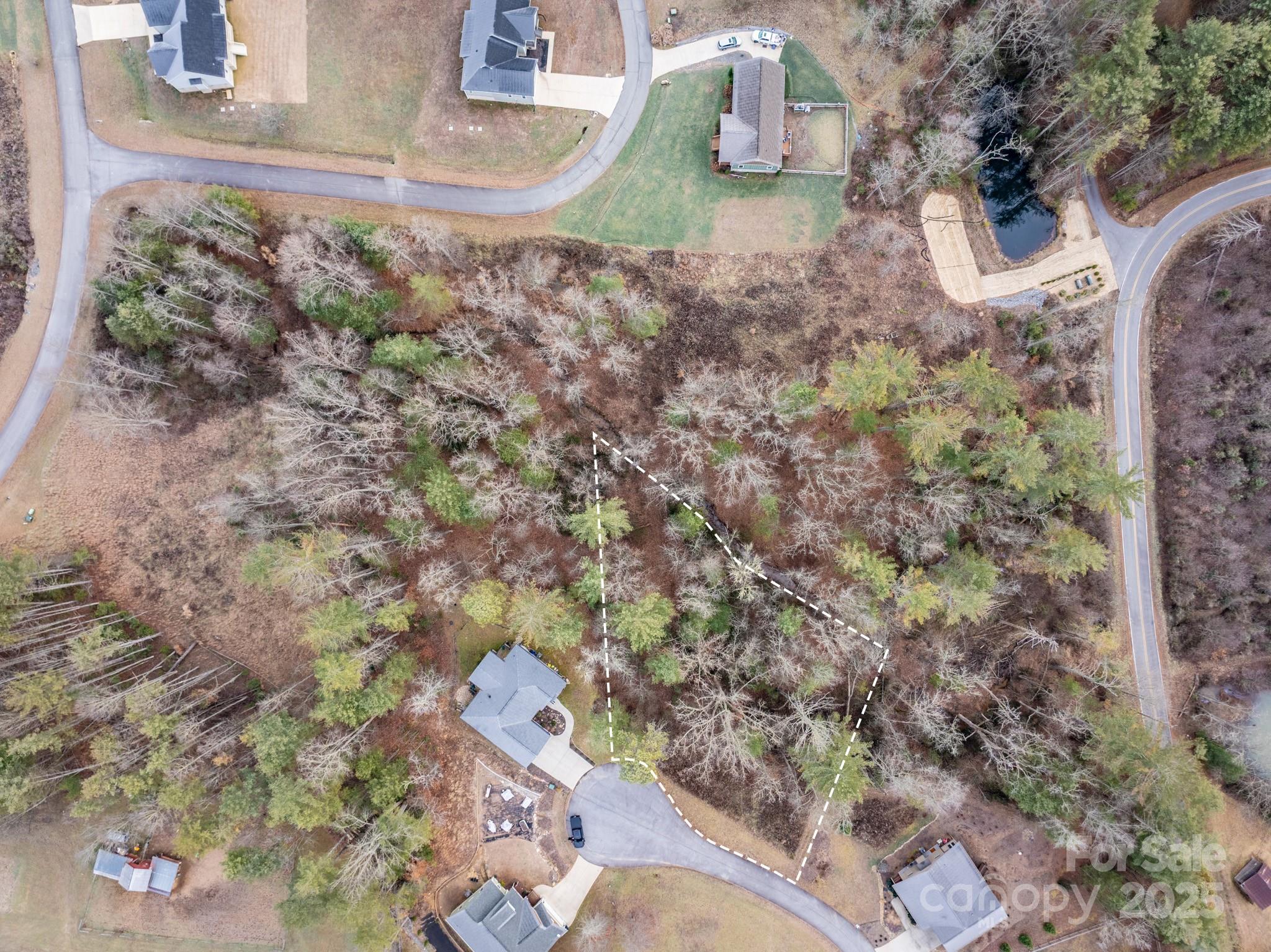Lot at 62 Crystal Cove Drive, Hendersonville, photo 3 of 13