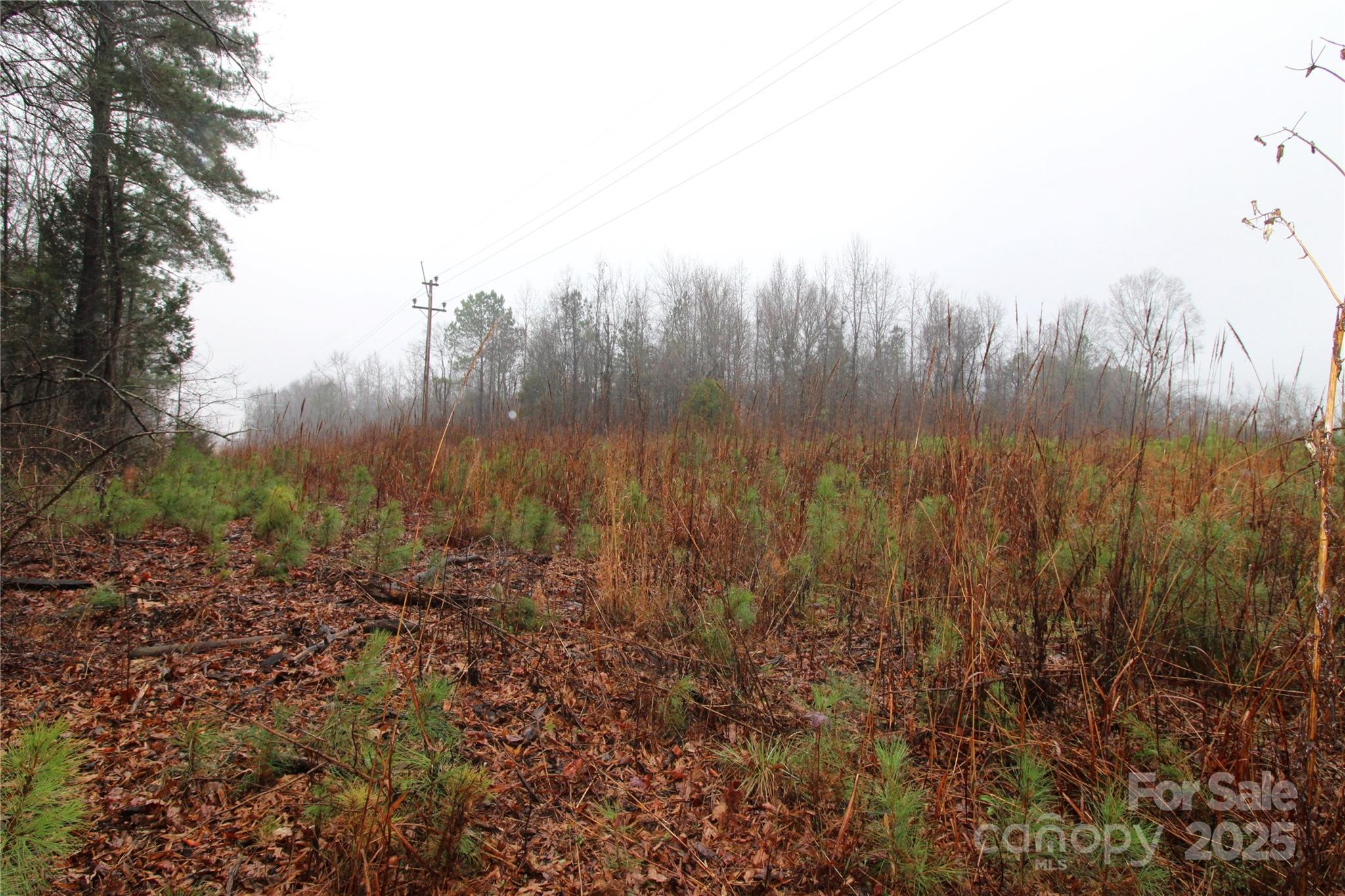 Lot at 4.78+/-AC Neal Road, Bessemer City, photo 5 of 6