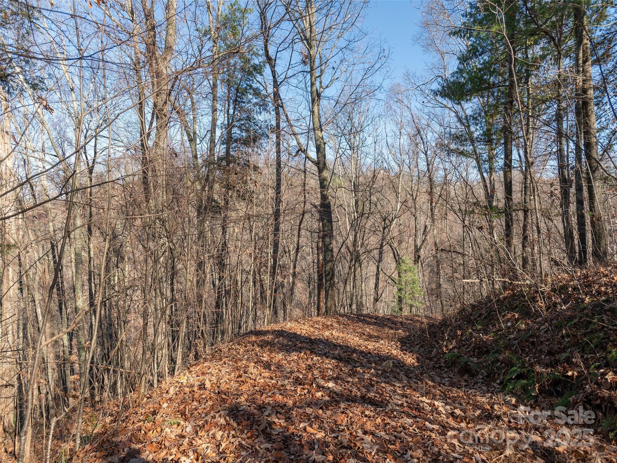 Lot at 1182 Seven Glens Drive, Weaverville, photo 9 of 17