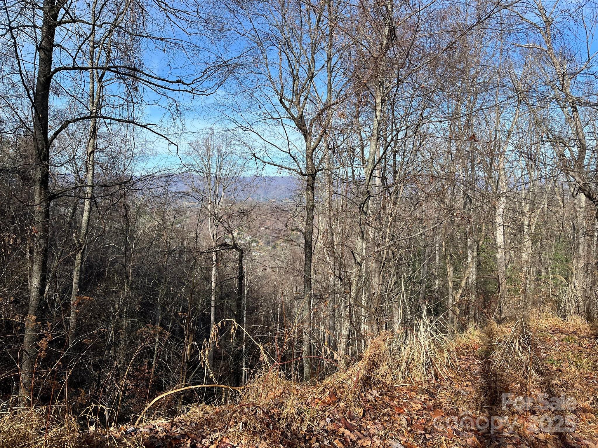 Lot at 1182 Seven Glens Drive, Weaverville, photo 12 of 17