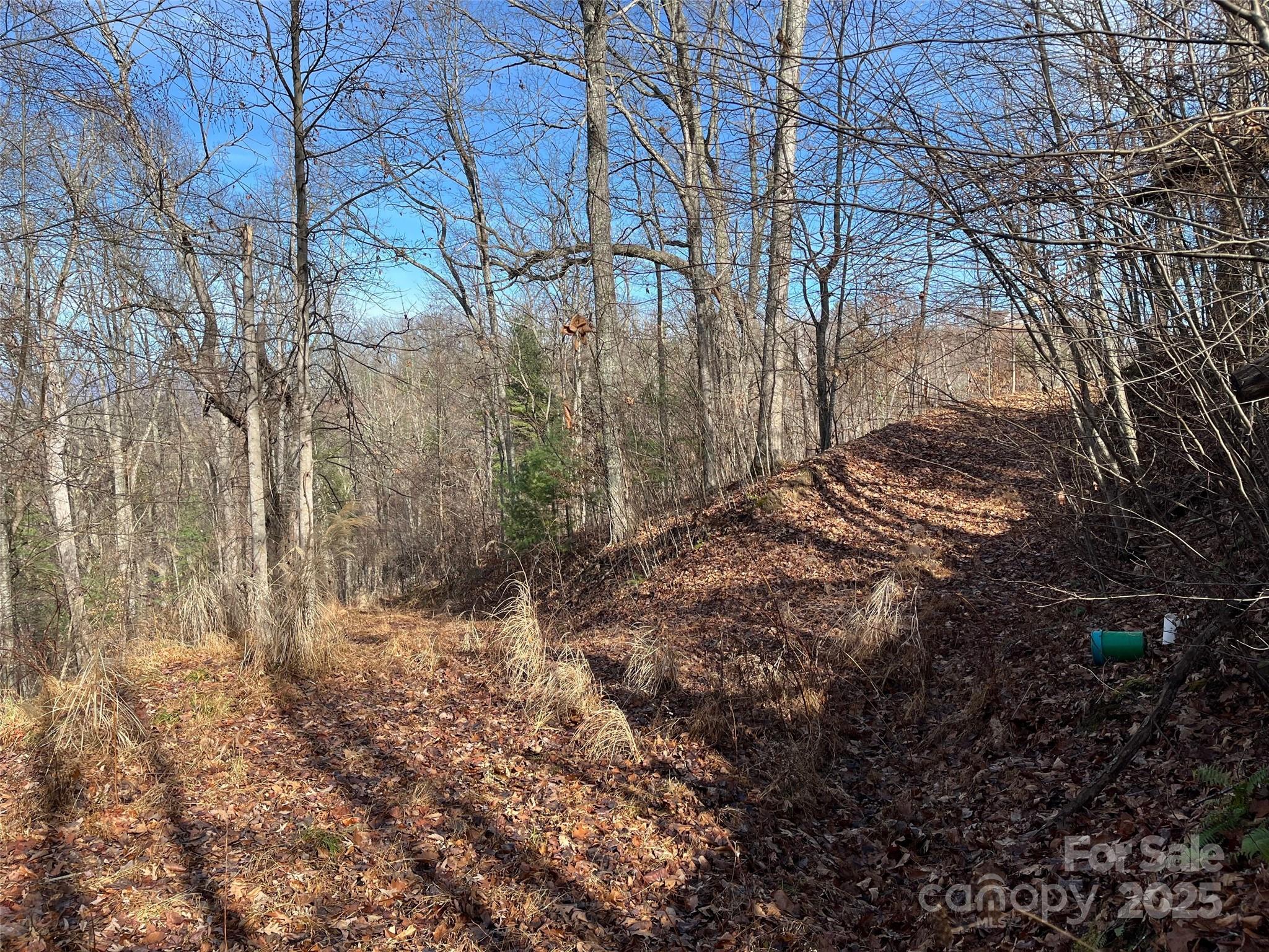 Lot at 1182 Seven Glens Drive, Weaverville, photo 13 of 17