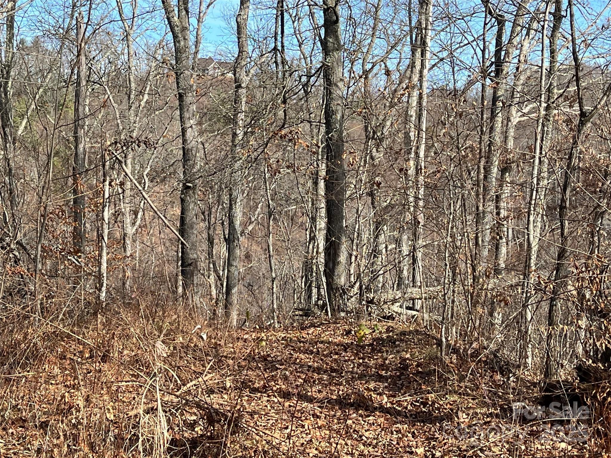 Lot at 1182 Seven Glens Drive, Weaverville, photo 15 of 17