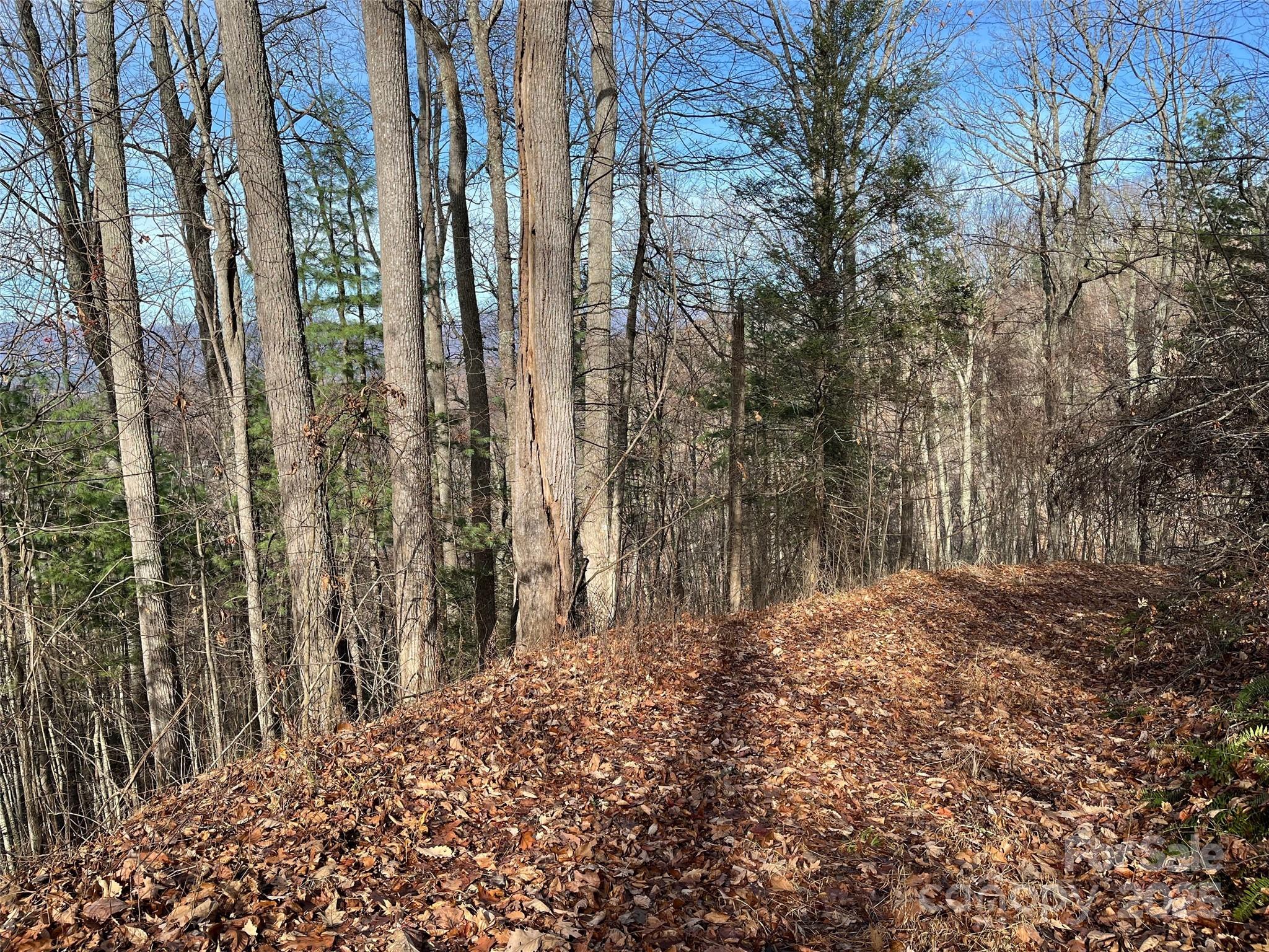 Lot at 1182 Seven Glens Drive, Weaverville, photo 16 of 17