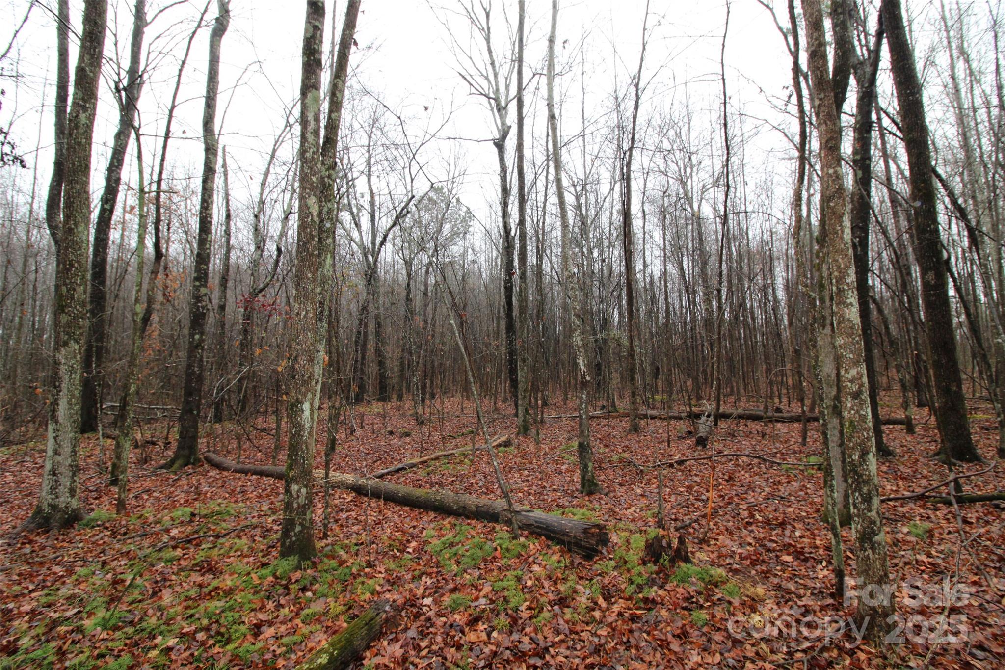 Lot at 4.63+/-AC Eaker Road, Bessemer City, photo 2 of 5