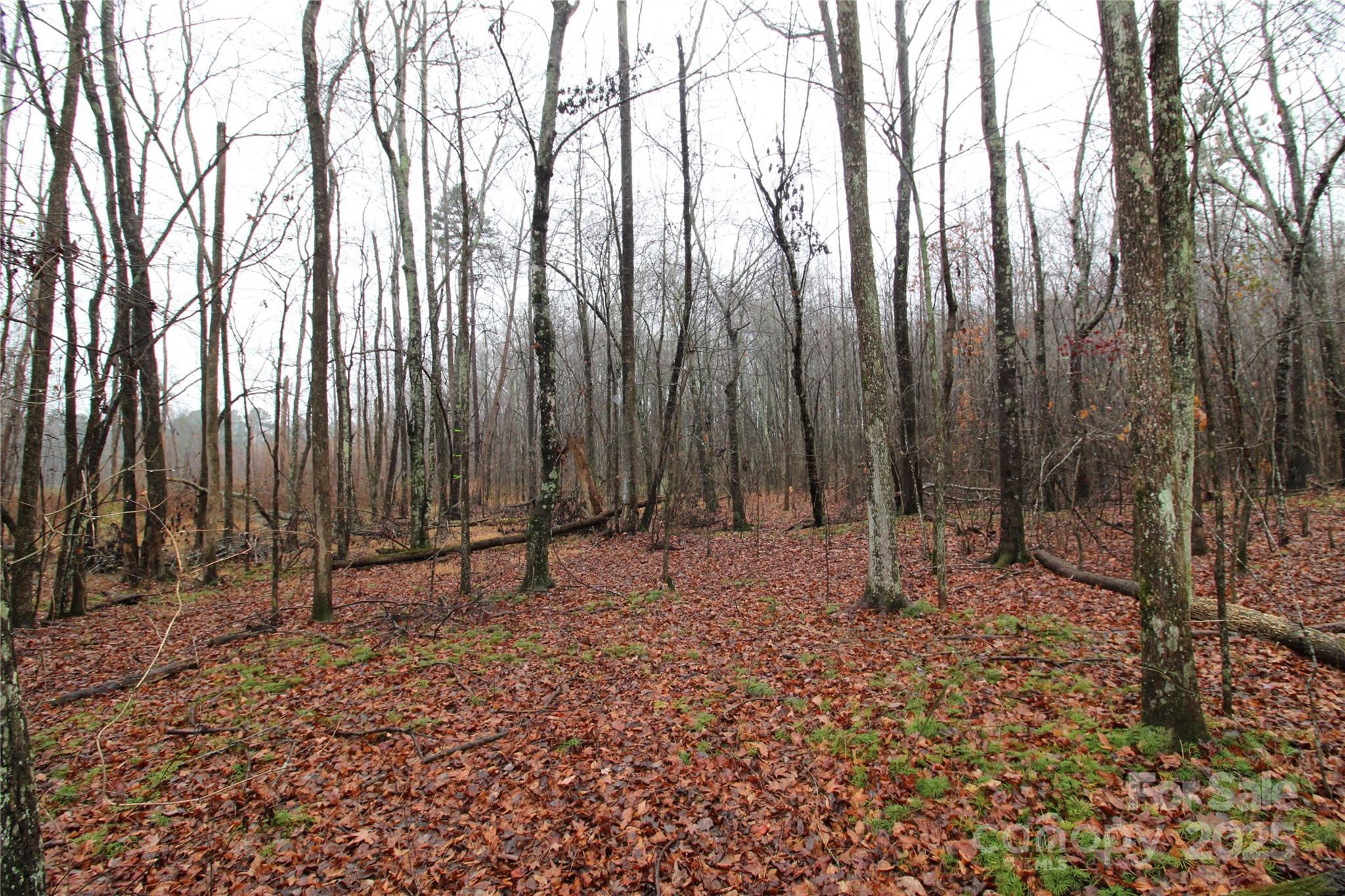 Lot at 4.63+/-AC Eaker Road, Bessemer City, photo 3 of 5