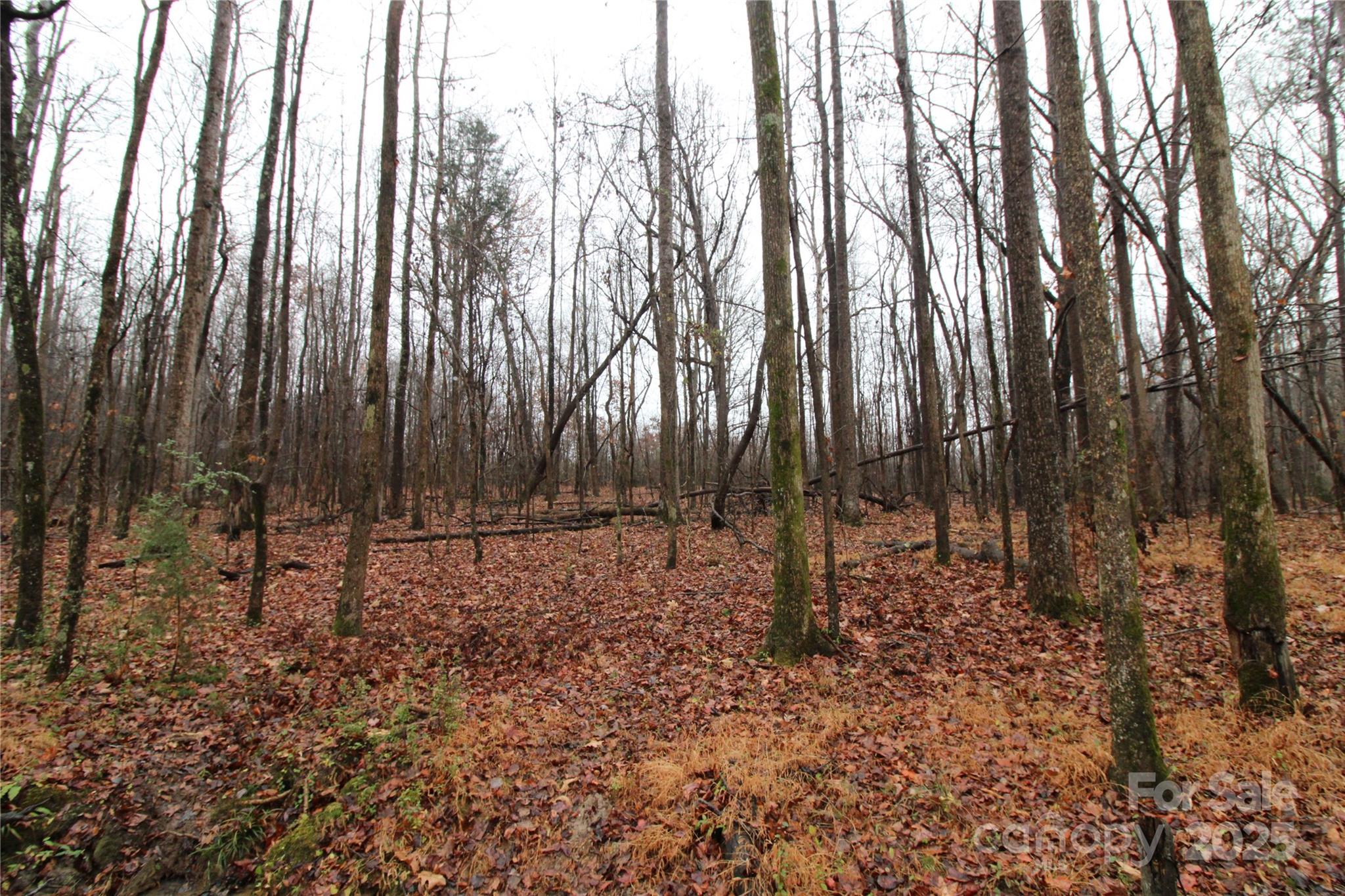 Lot at 4.63+/-AC Eaker Road, Bessemer City, photo 4 of 5