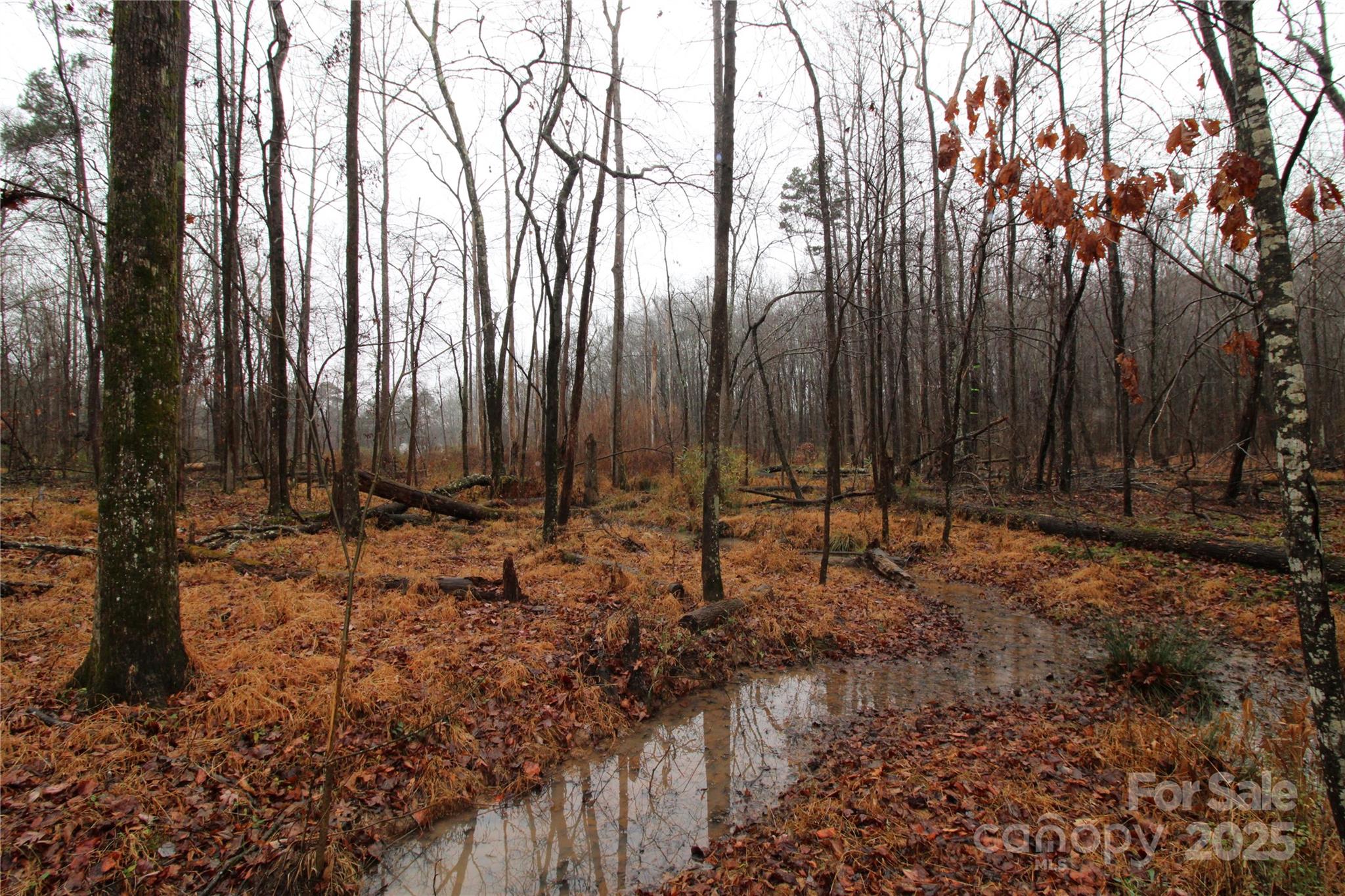 Lot at 4.63+/-AC Eaker Road, Bessemer City, photo 5 of 5