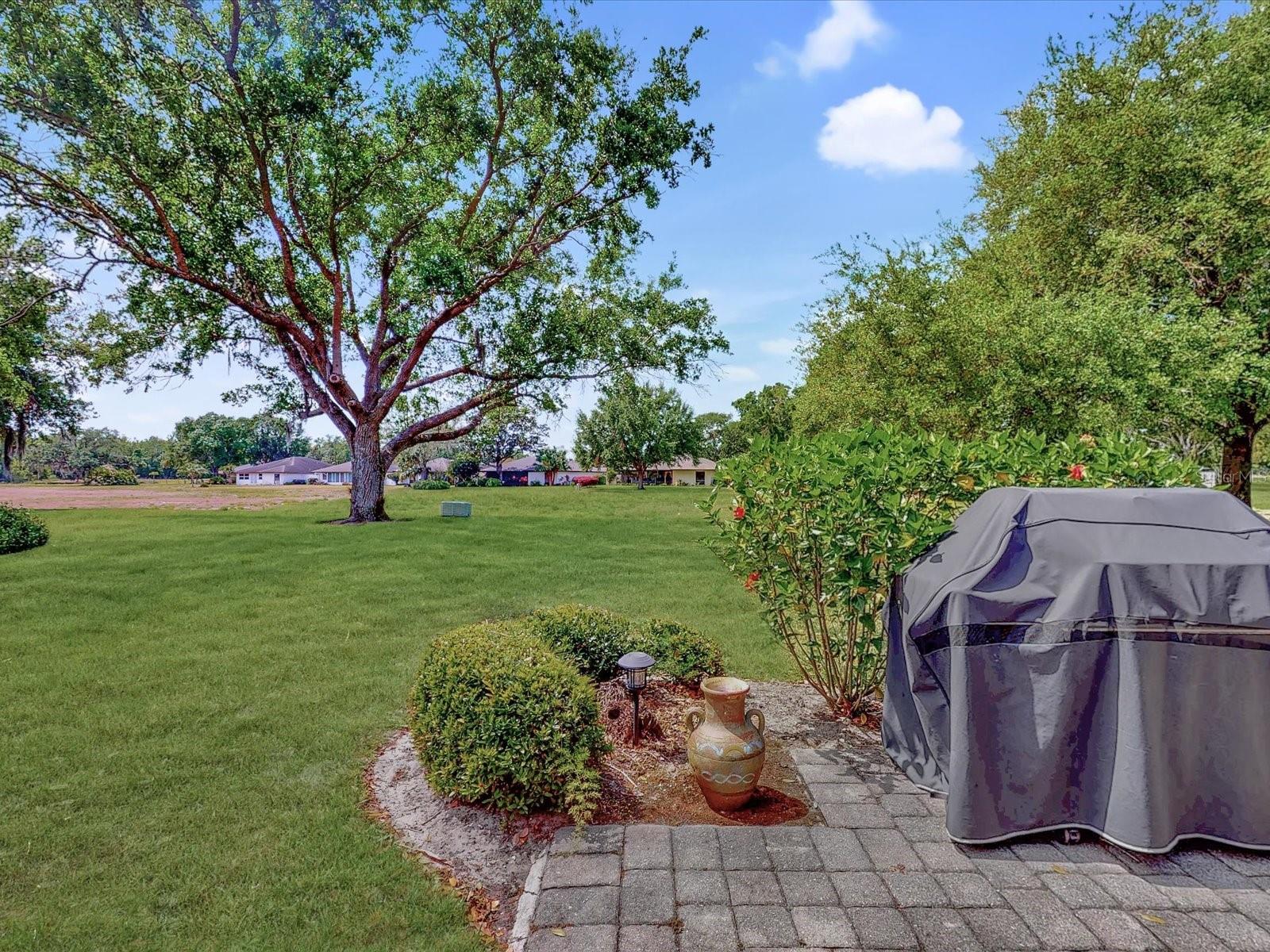 View off the rear lanai at the area where the walking trail will be going - 112 COVENTRY LN, HAINES CITY