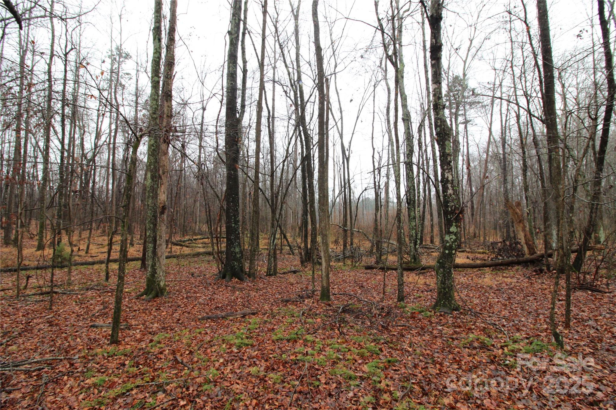 Lot at 4.38+/-AC Eaker Road, Bessemer City, photo 4 of 5