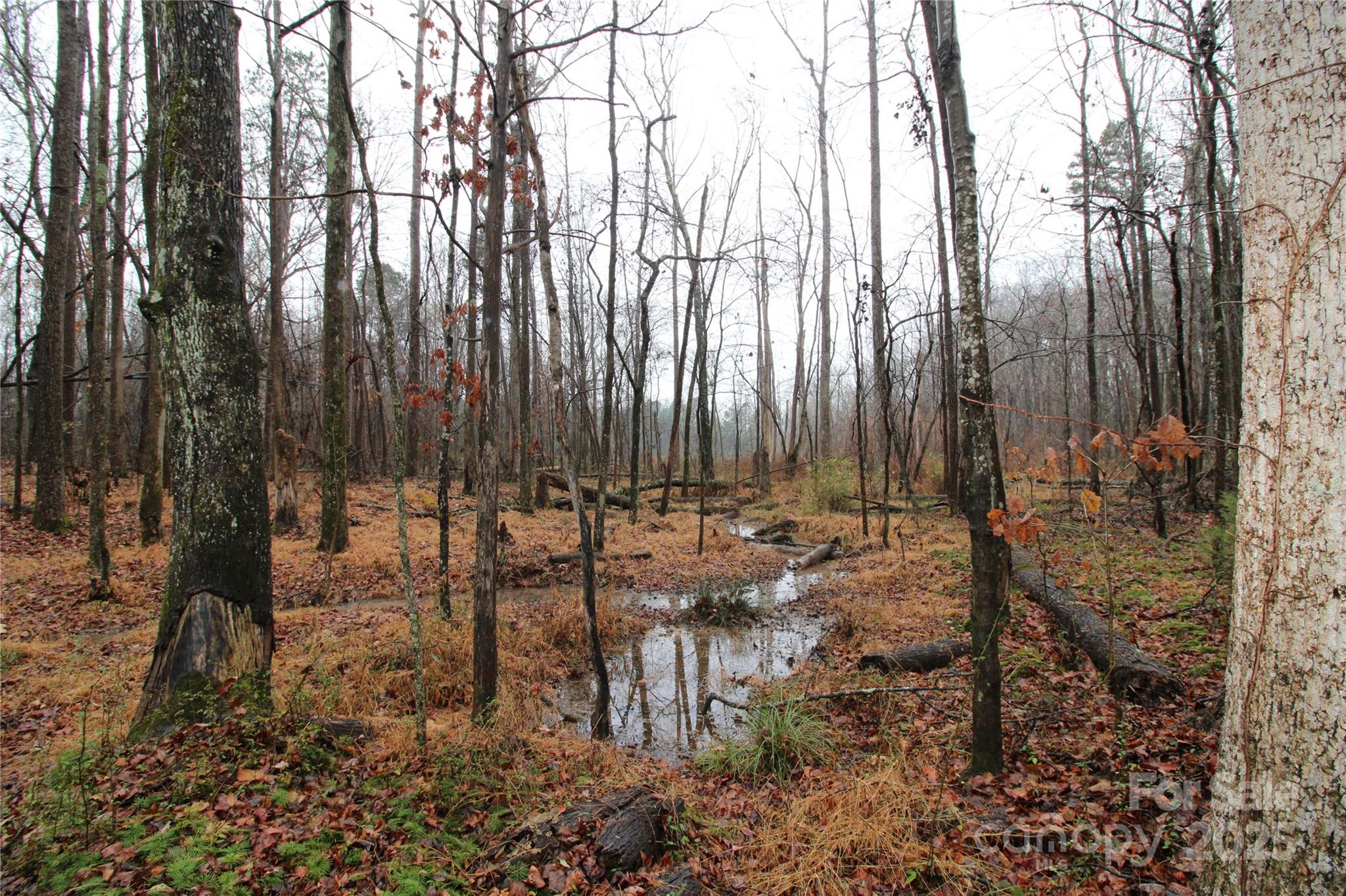 Lot at 4.38+/-AC Eaker Road, Bessemer City, photo 5 of 5