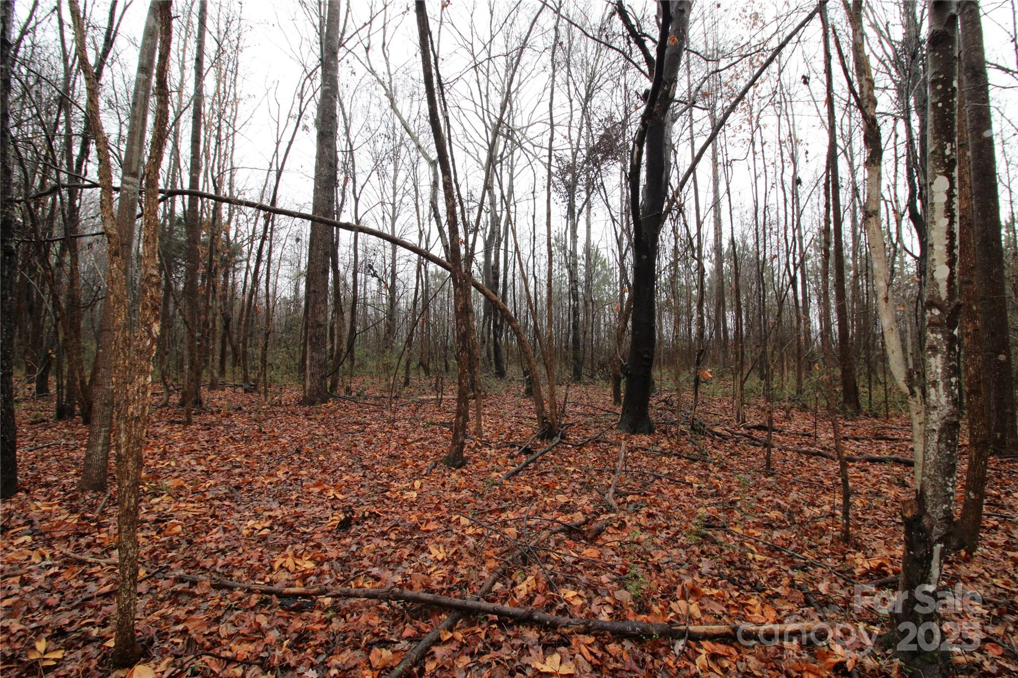 Lot at 4.58+/-AC Eaker Road, Bessemer City, photo 5 of 6