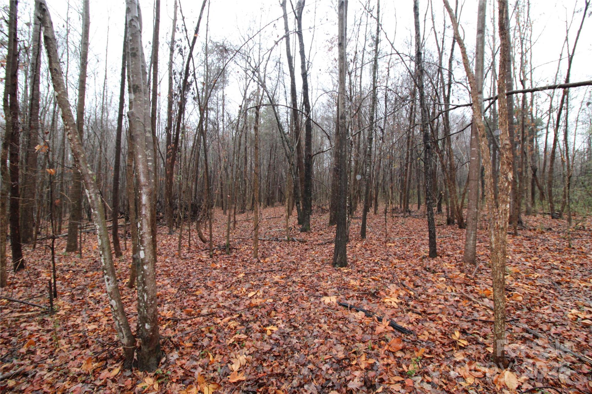 Lot at 4.58+/-AC Eaker Road, Bessemer City, photo 6 of 6