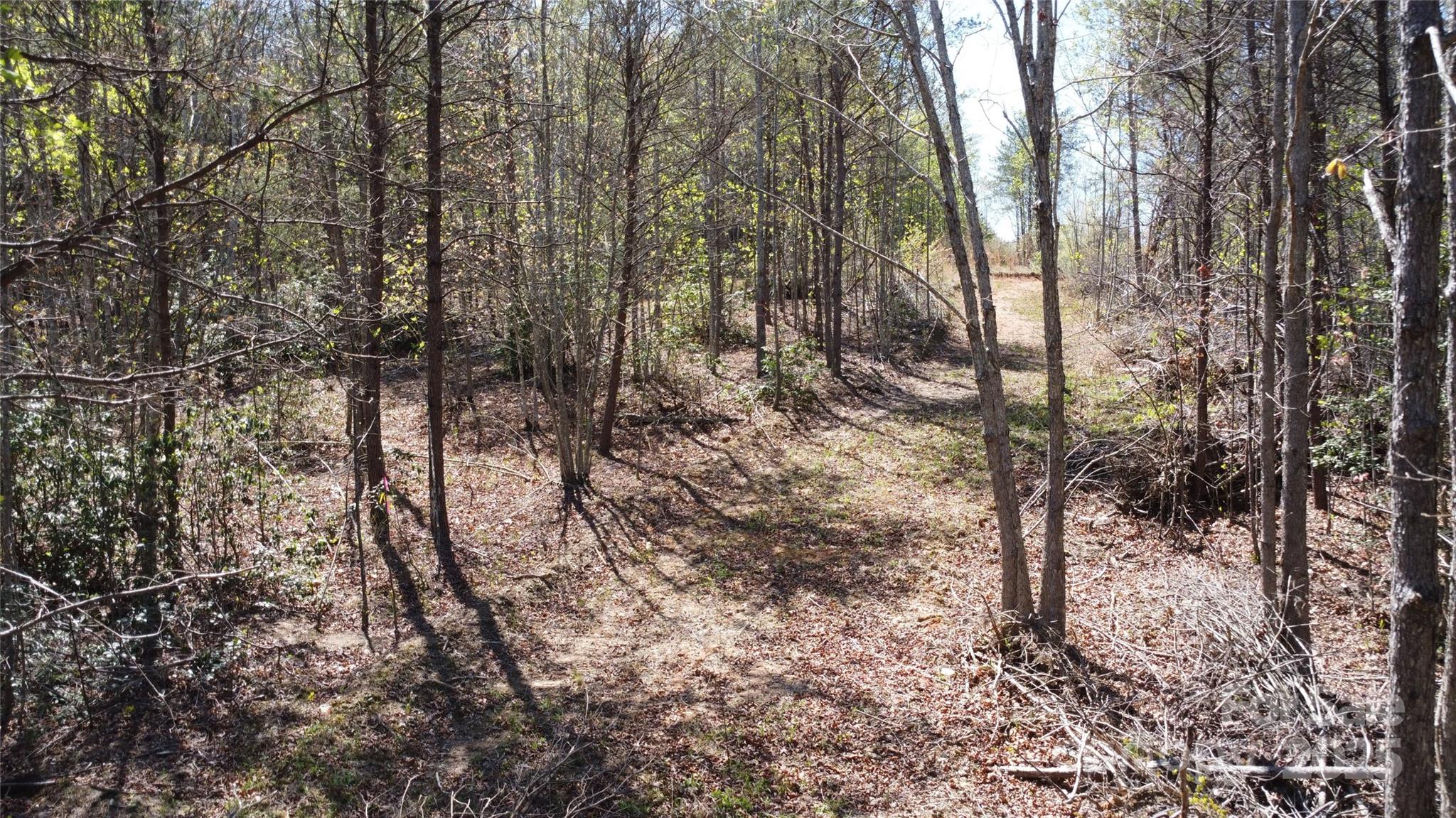 Acreage at 0 Snowhill Church Road, Morganton, photo 12 of 40