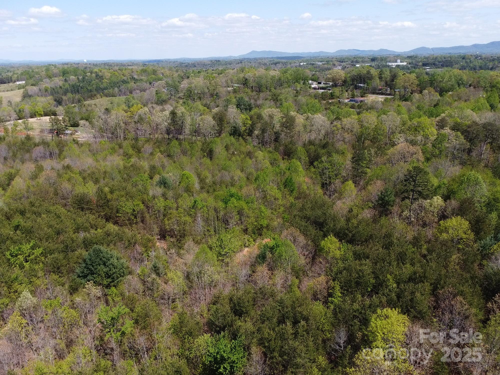Acreage at 0 Snowhill Church Road, Morganton, photo 13 of 40