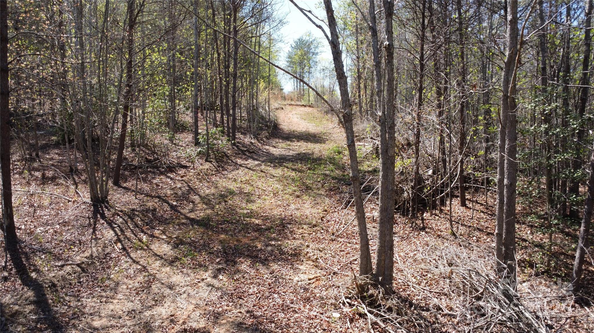 Acreage at 0 Snowhill Church Road, Morganton, photo 21 of 40